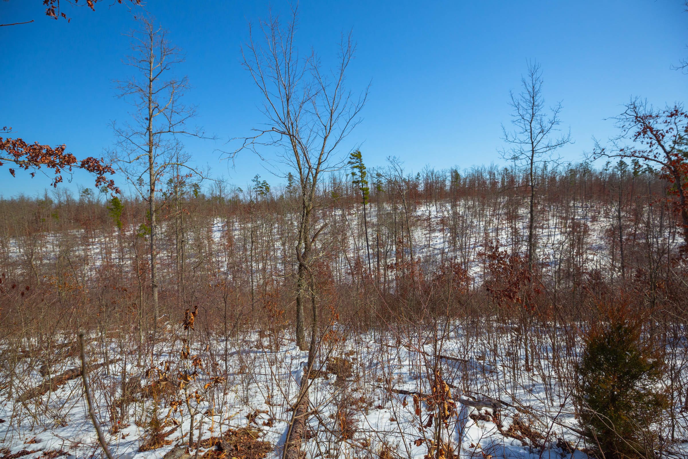Sleepy Hollow Phase I Tract 24 photo 7