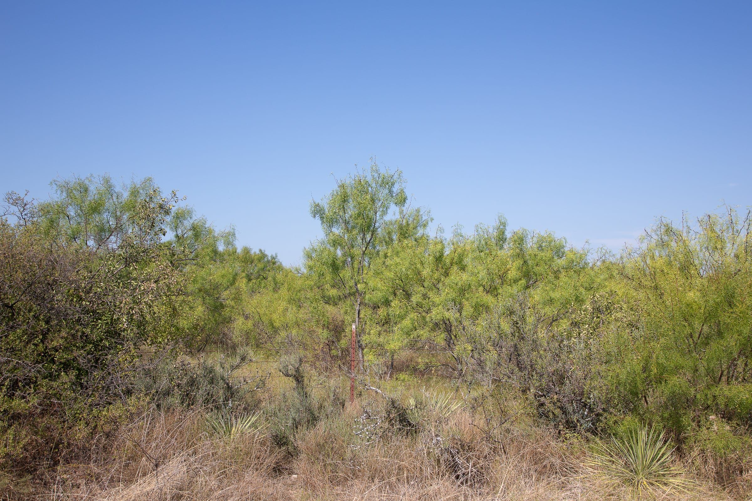 Hunter’s Ranch Tract 12 photo 1