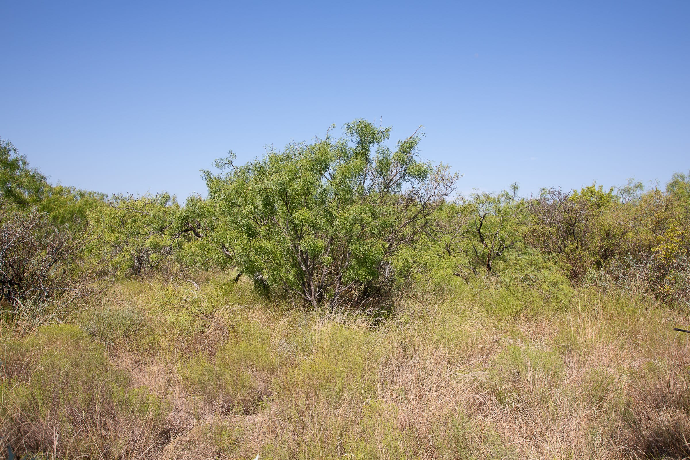 Hunter’s Ranch Tract 12 photo 4