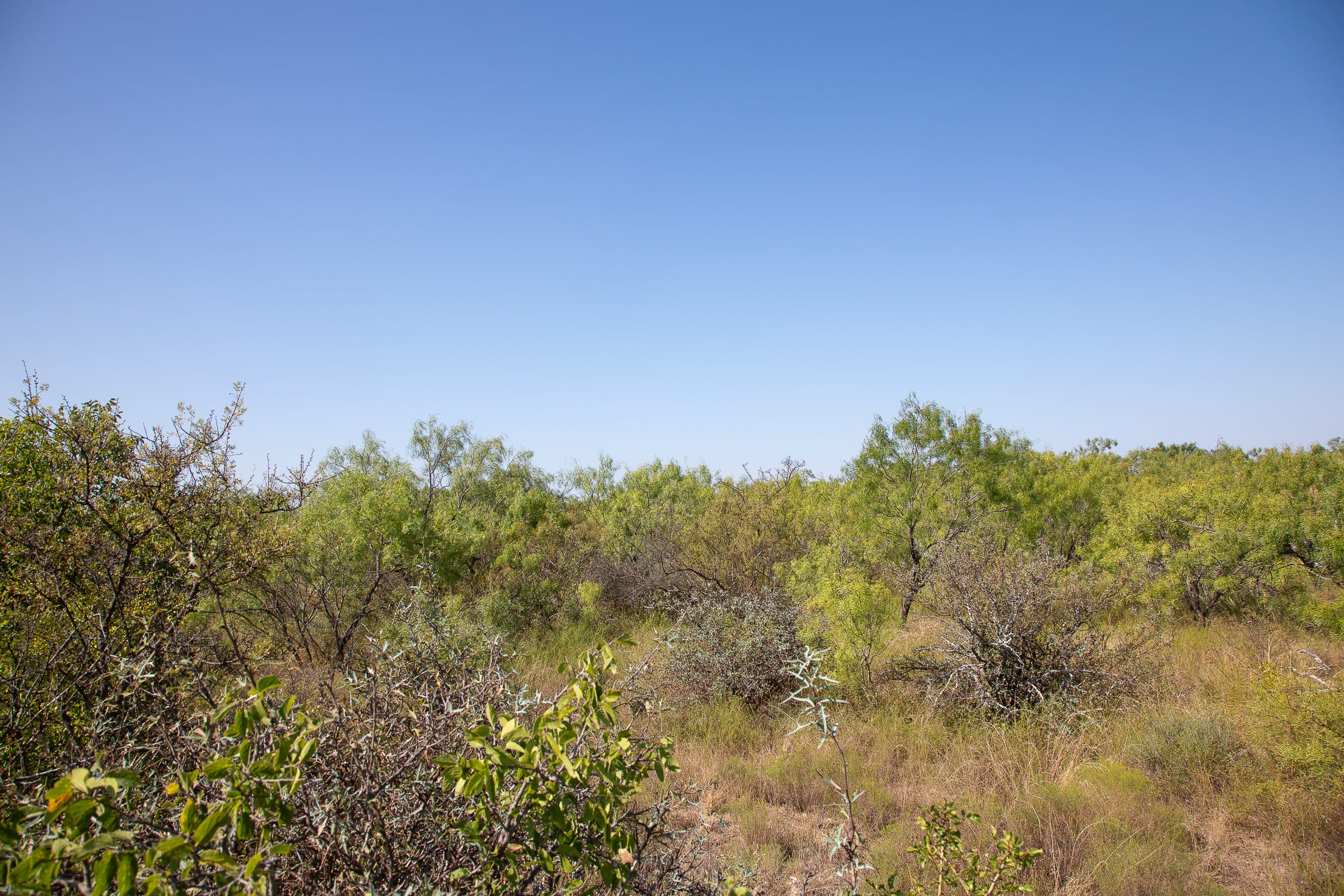 Hunter’s Ranch Tract 12 photo 5