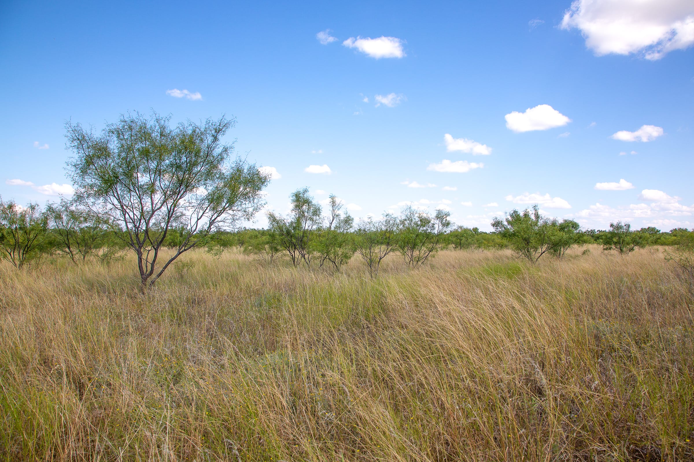Hunter’s Ranch Tract 12 photo 6