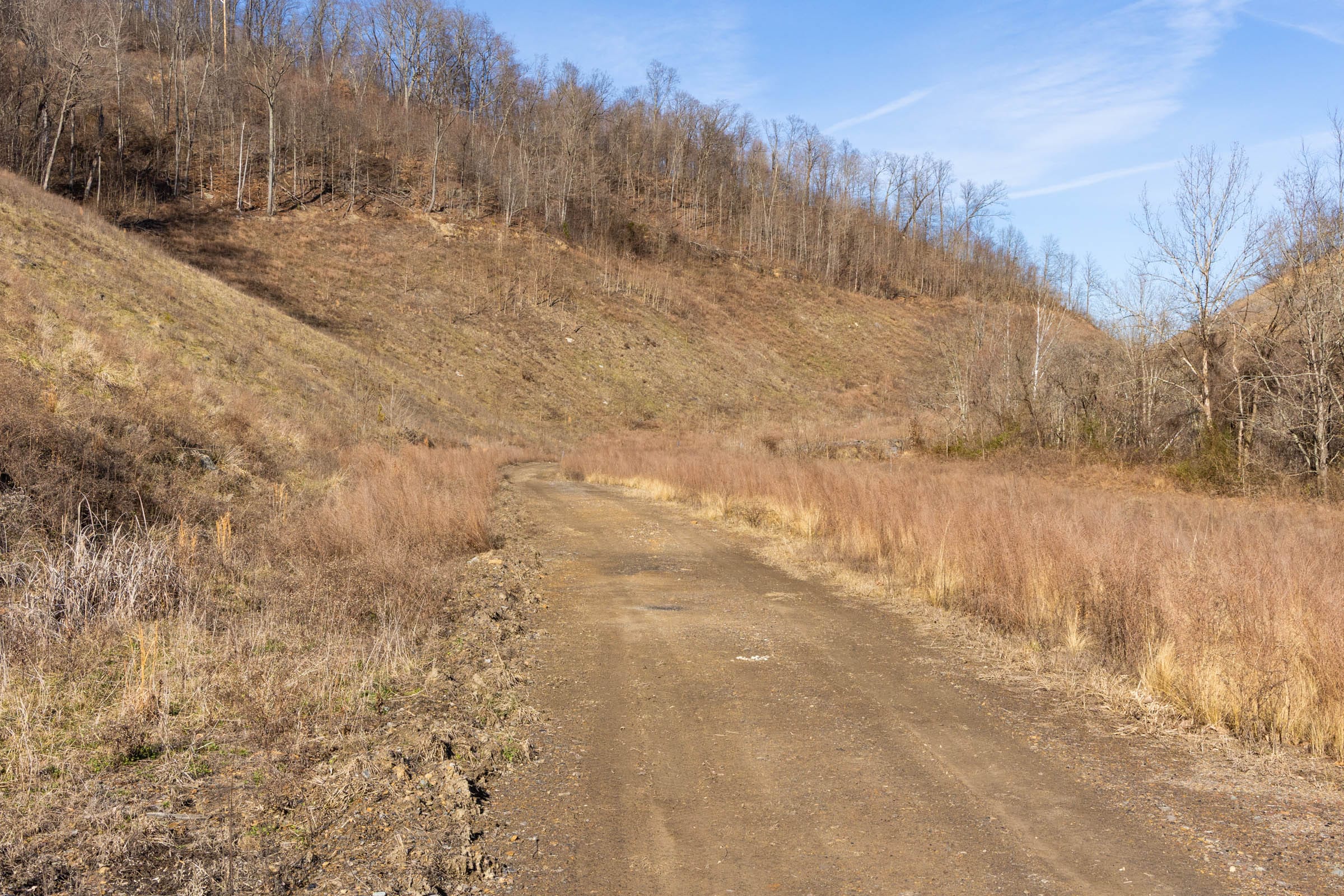 Jade Pass Tract 6 photo 12