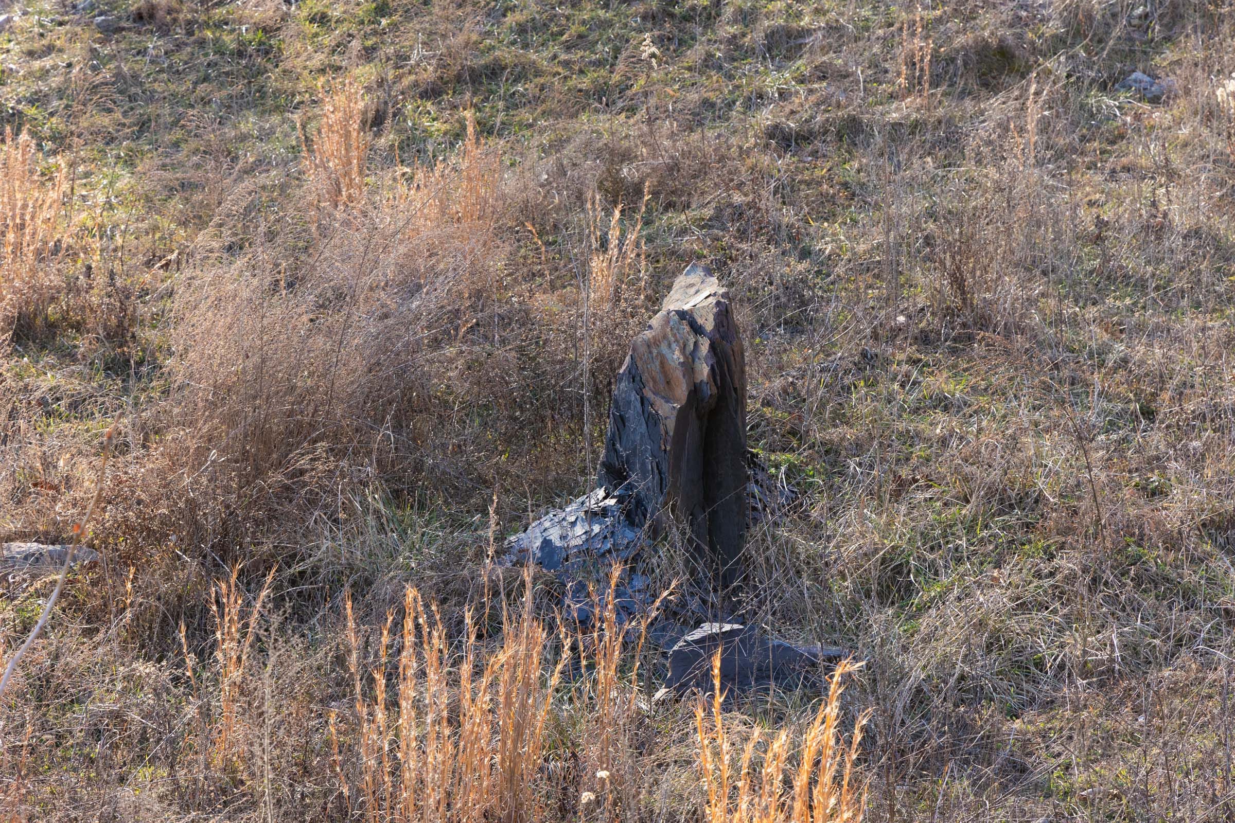 Jade Pass Tract 6 photo 6