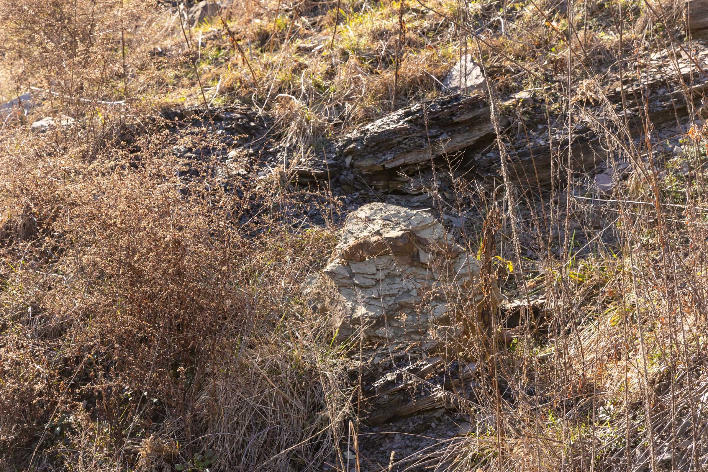 Jade Pass Tract 6 photo 4
