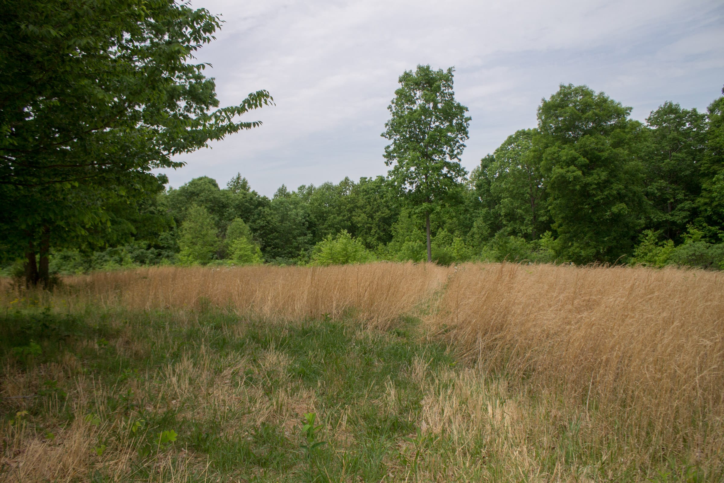 Laurel Ridge Tract 10 photo 1