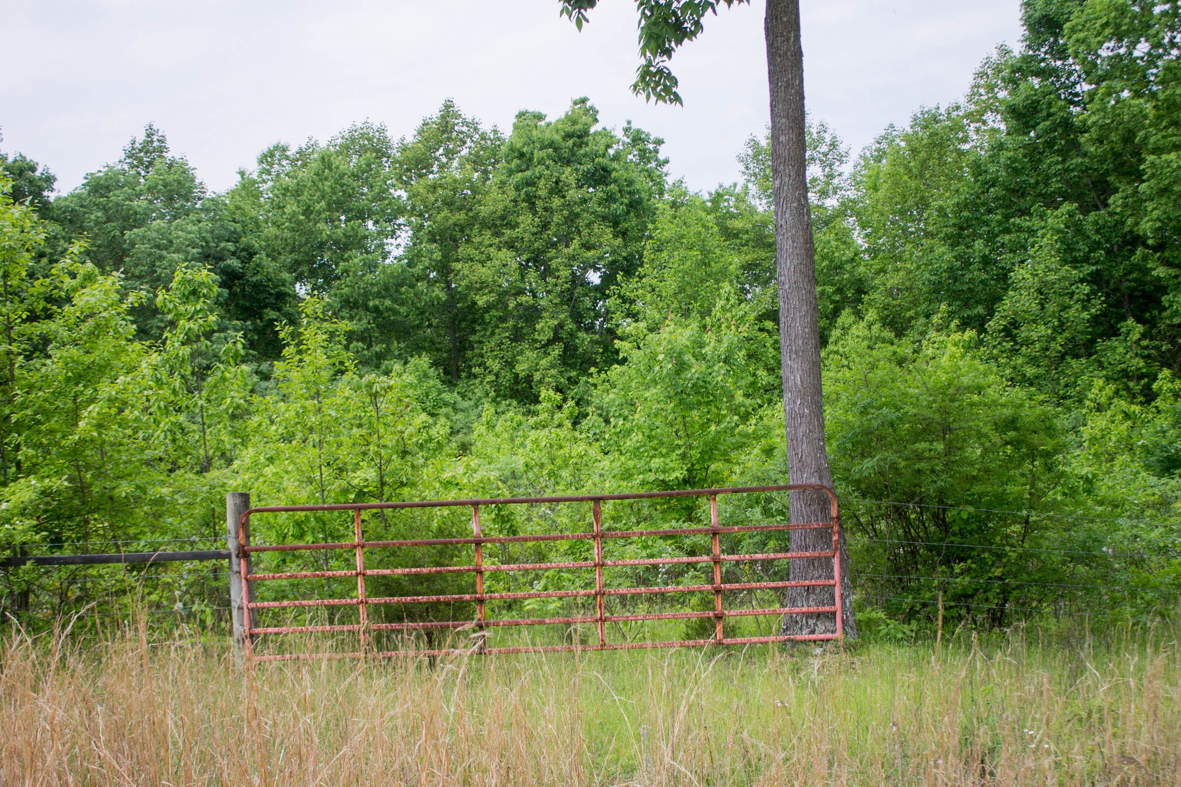 Laurel Ridge Tract 10 photo 6