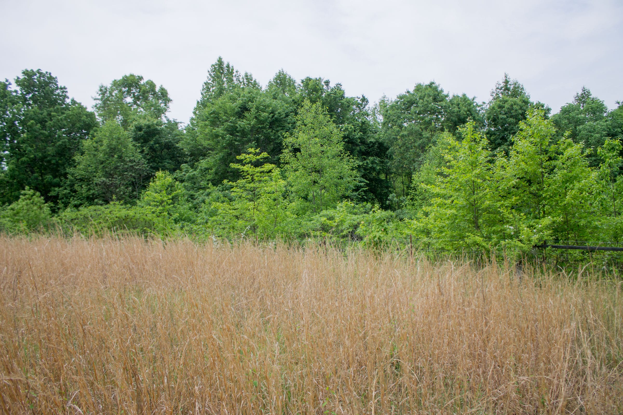 Laurel Ridge Tract 10 photo 10