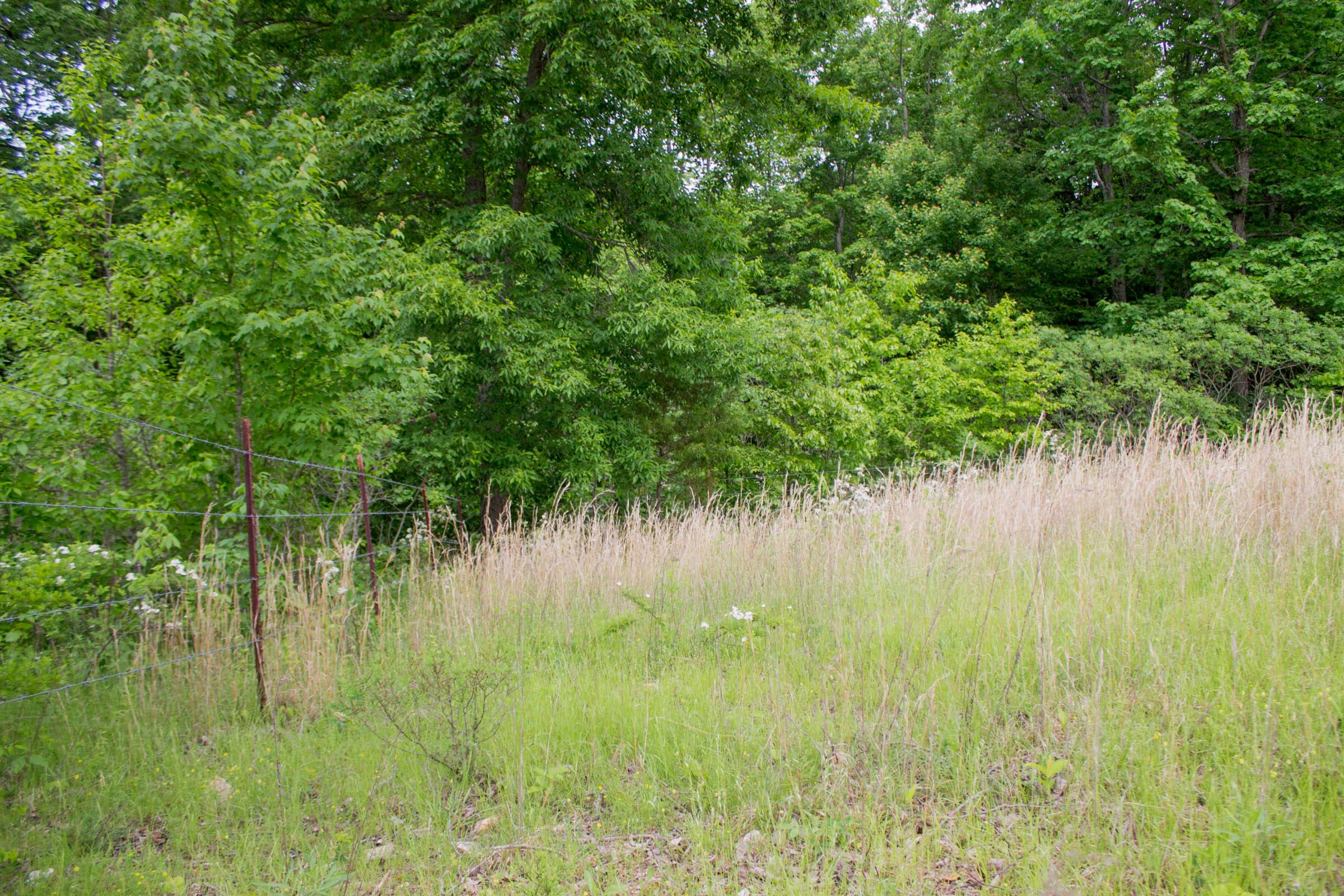 Laurel Ridge Tract 10 photo 13