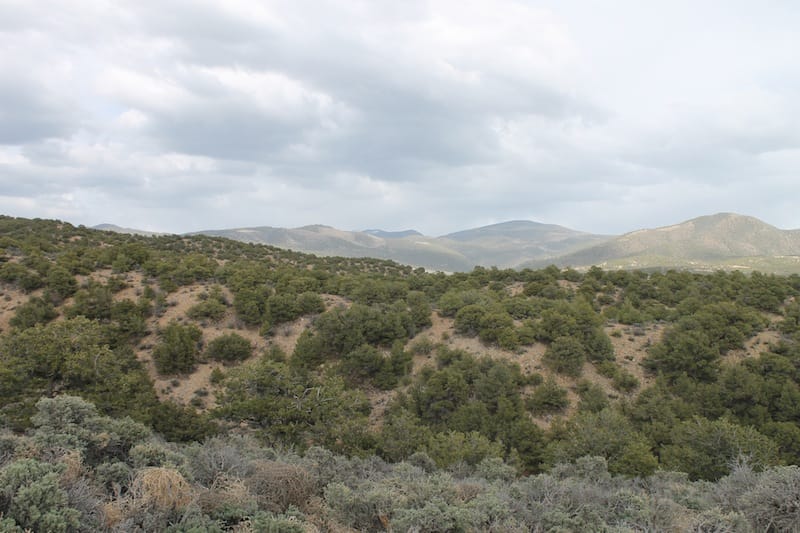 Eagle Ridge Ranch Tract 74 photo 9