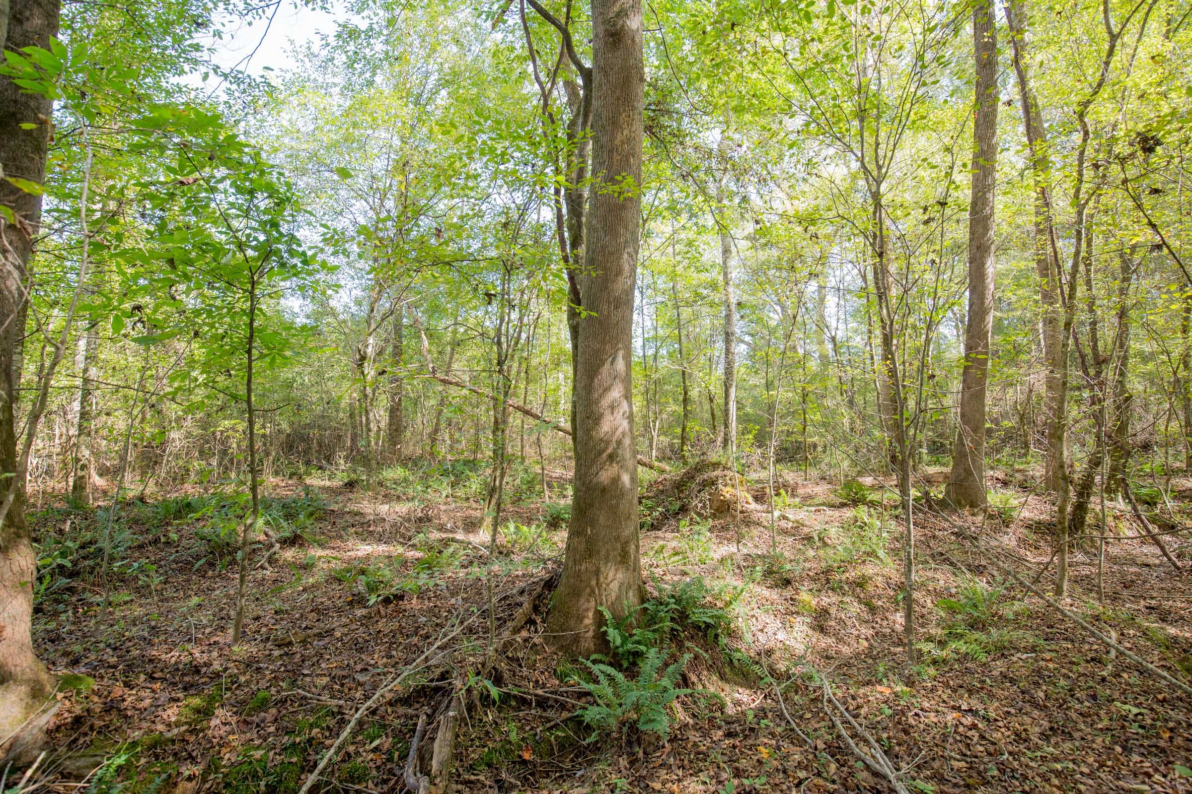 Sky Ranch Tract 9 photo 1