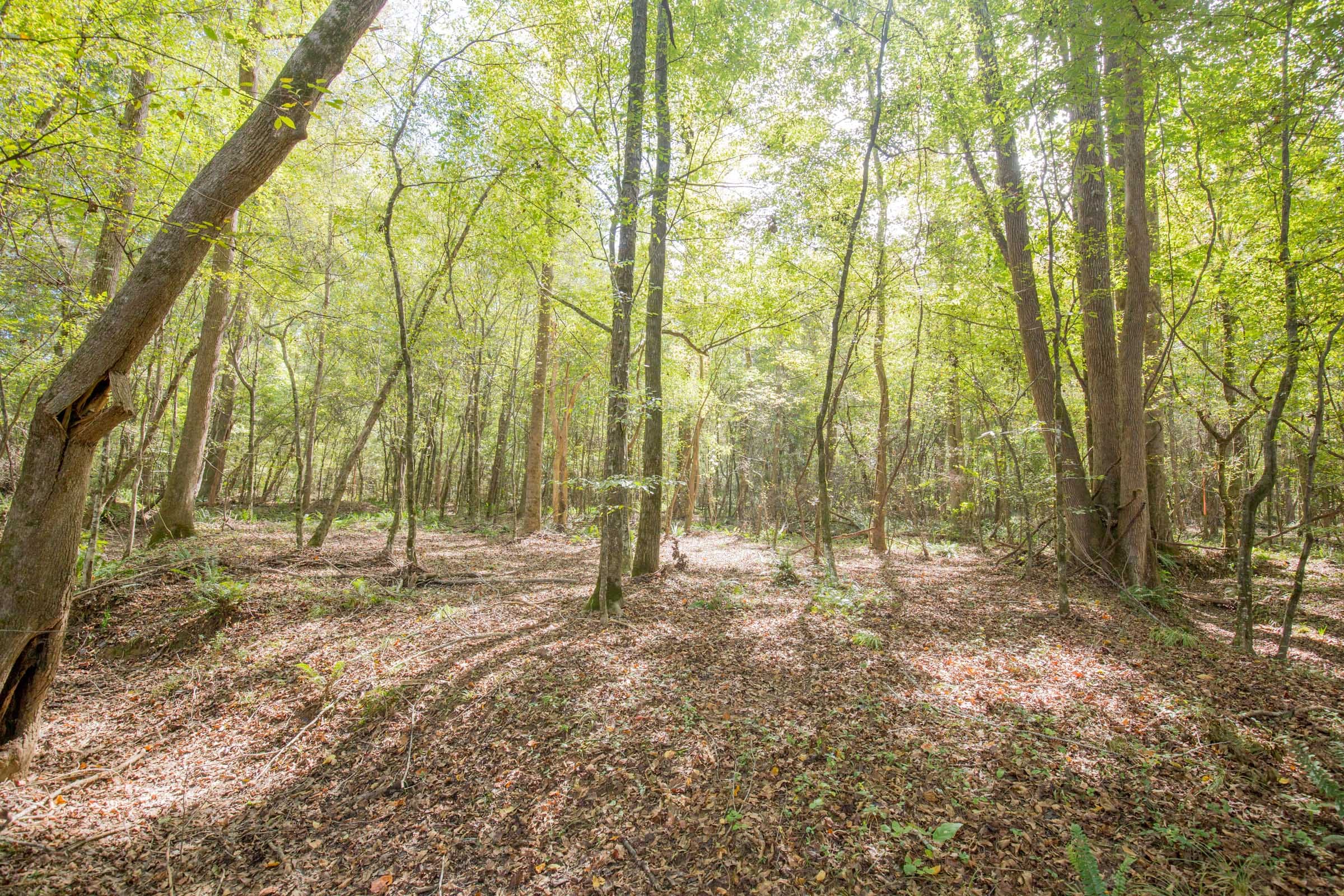 Sky Ranch Tract 9 photo 2