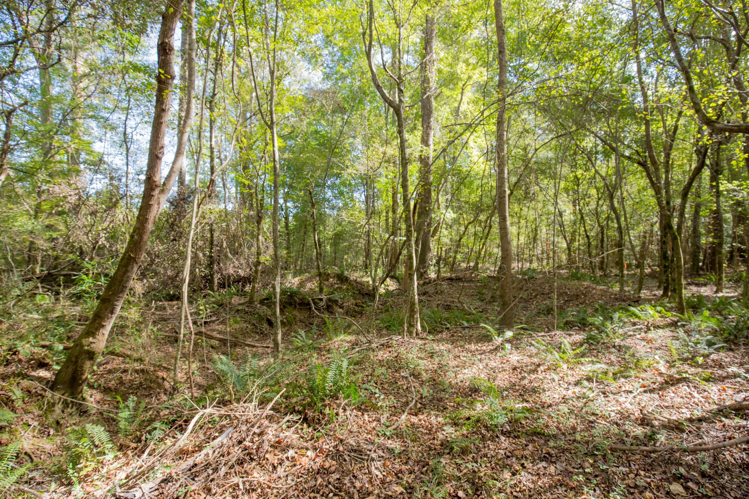 Sky Ranch Tract 9 photo 8