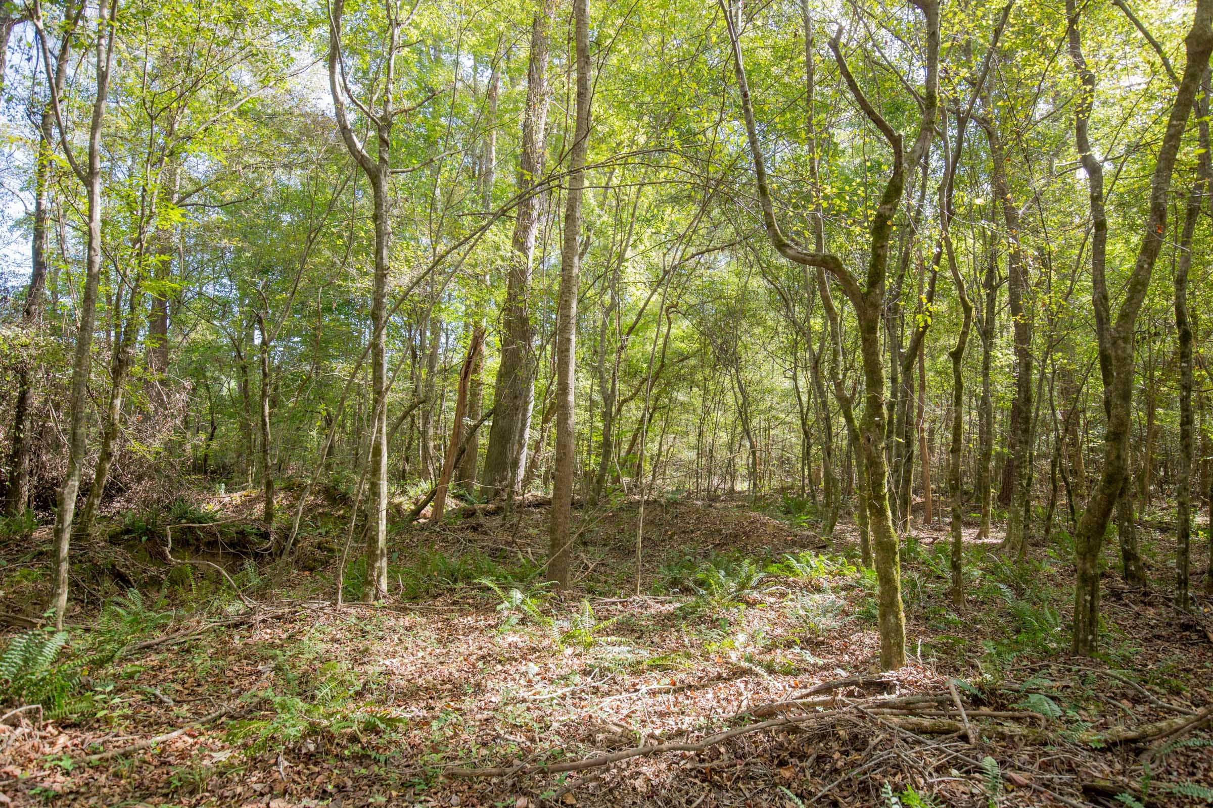 Sky Ranch Tract 9 photo 9