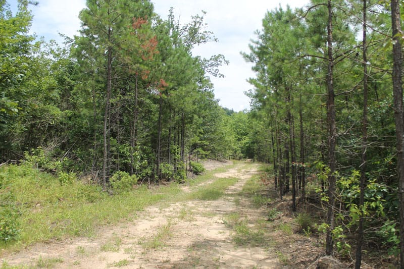 Trophy Ridge Phase III Tract 8 photo 1