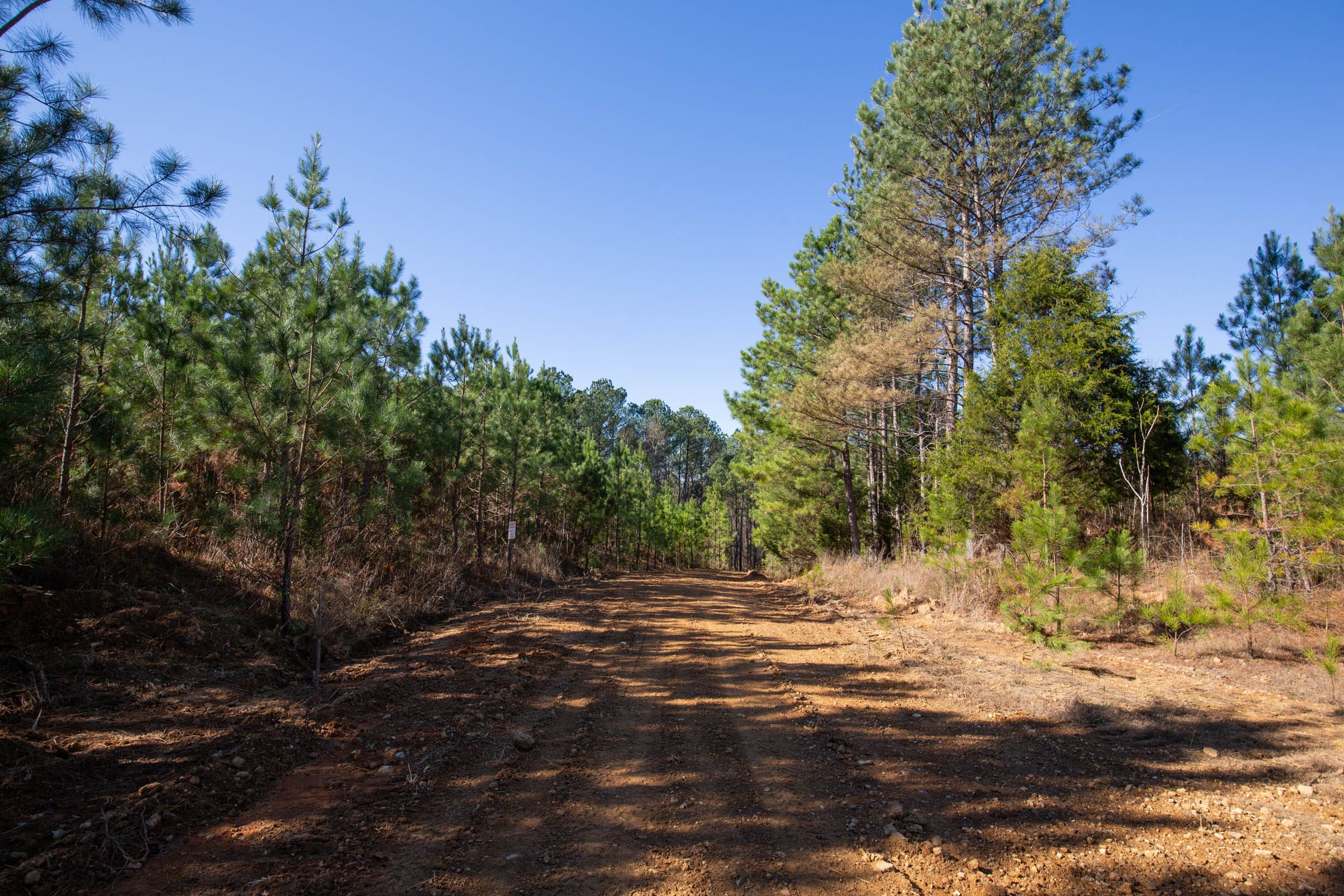 Pine Ridge Tract 7 photo 1