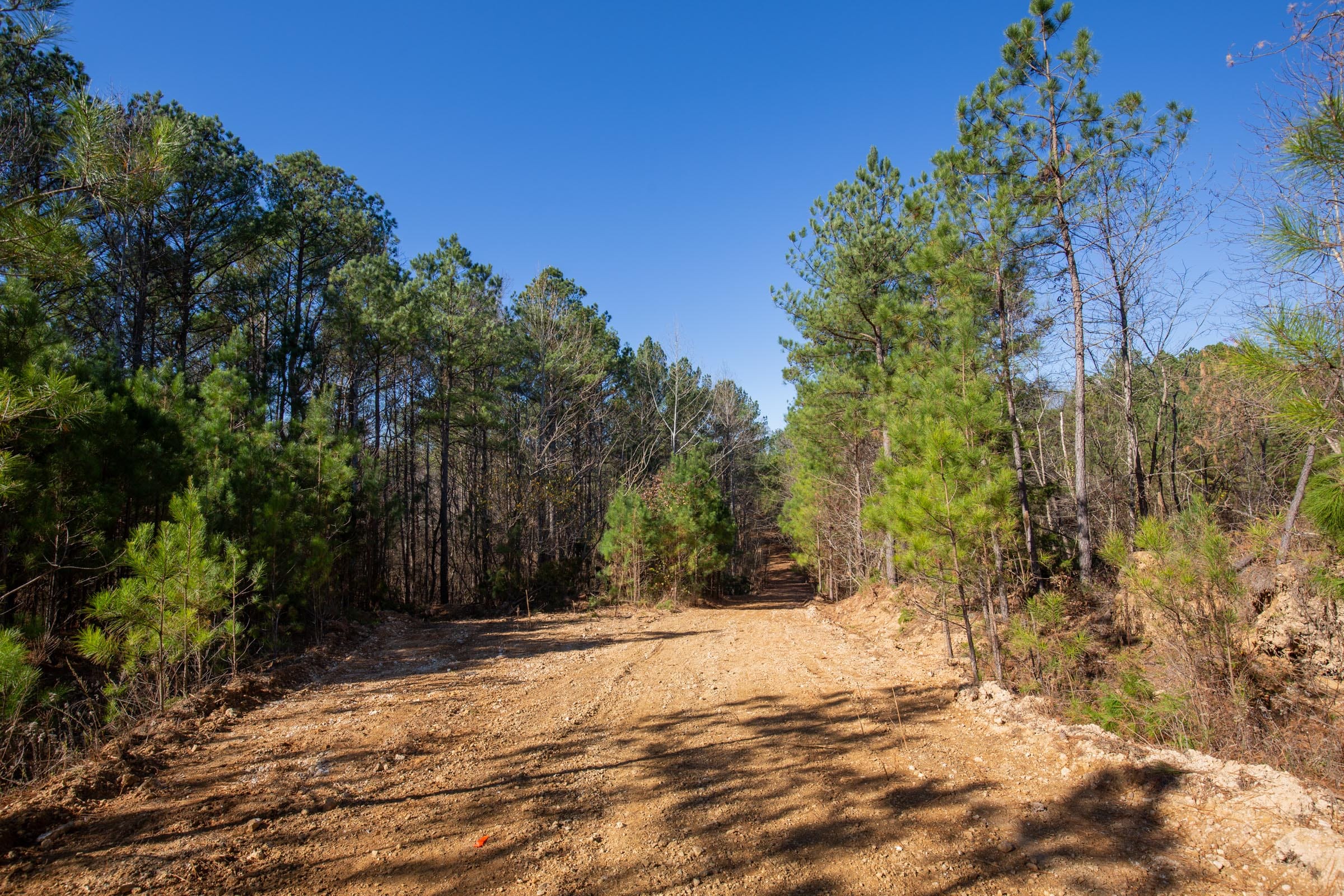 Pine Ridge Tract 7 photo 8