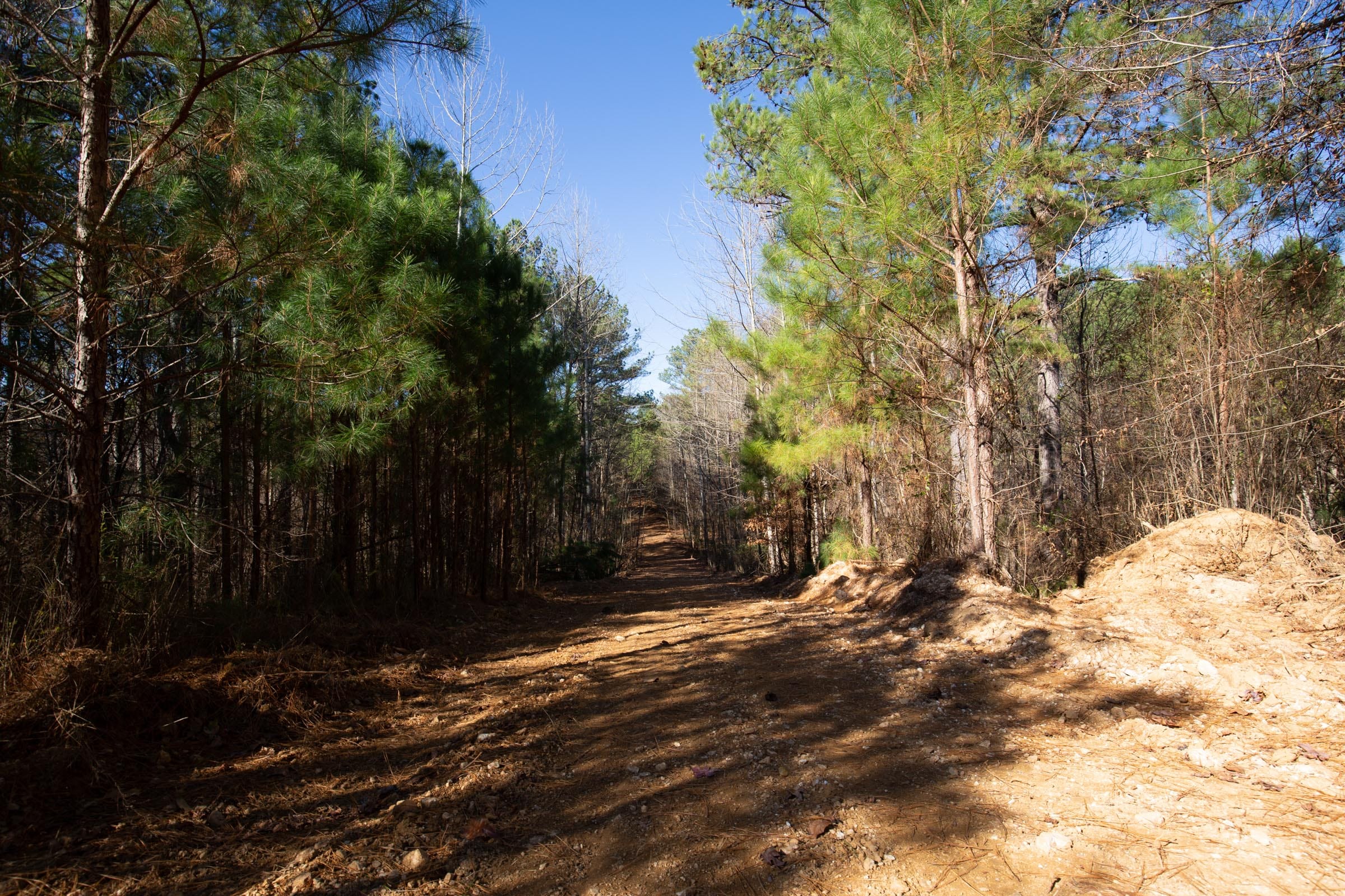 Pine Ridge Tract 7 photo 15