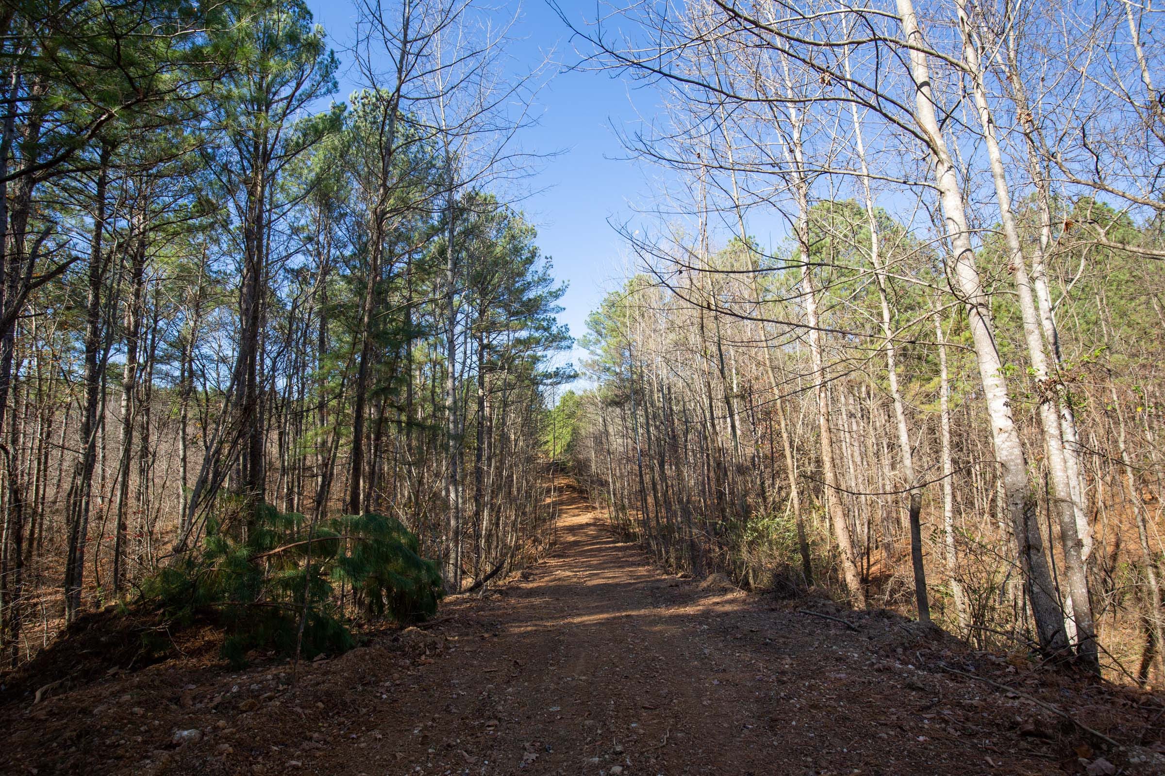 Pine Ridge Tract 7 photo 12