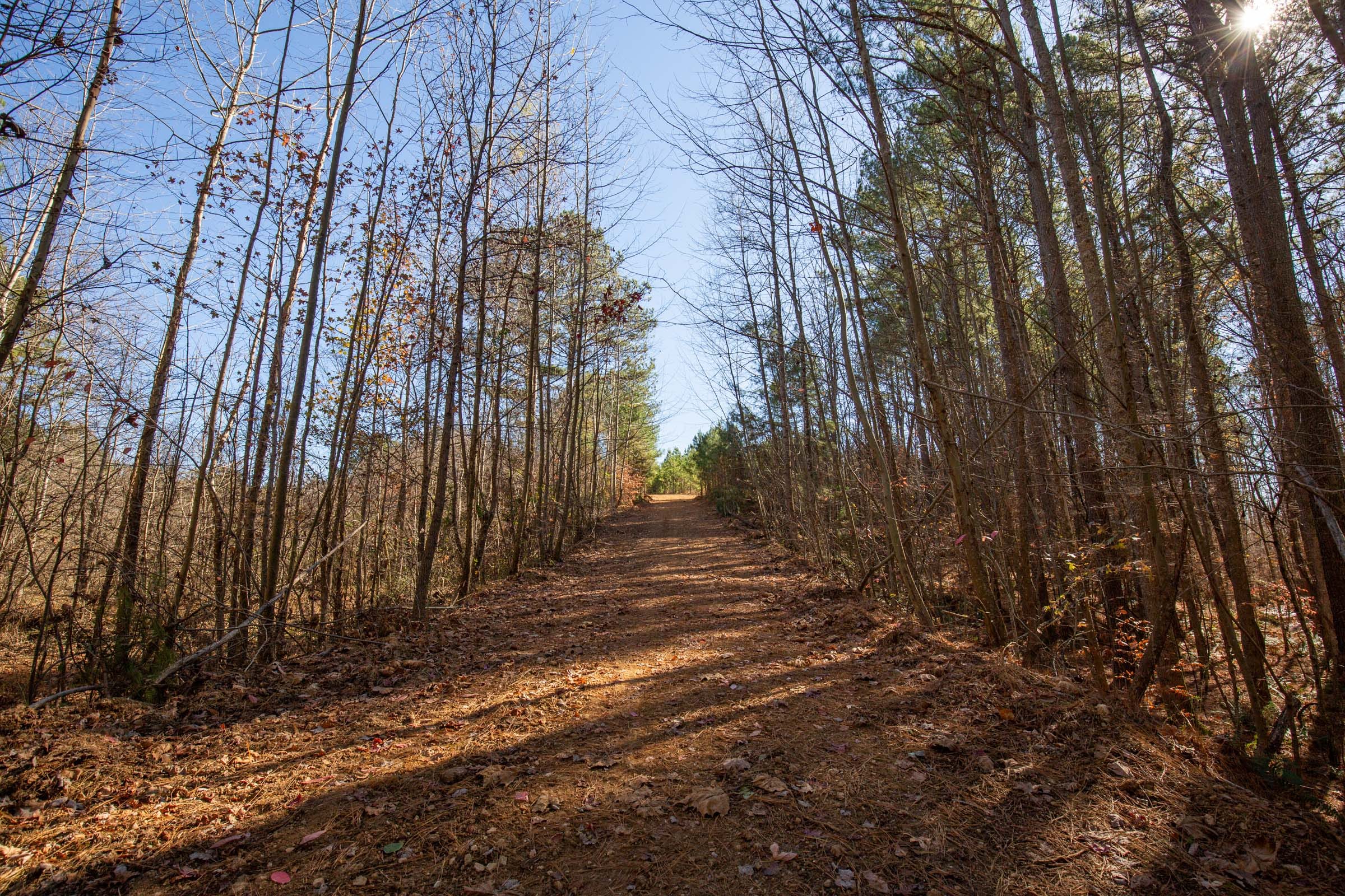 Pine Ridge Tract 7 photo 5