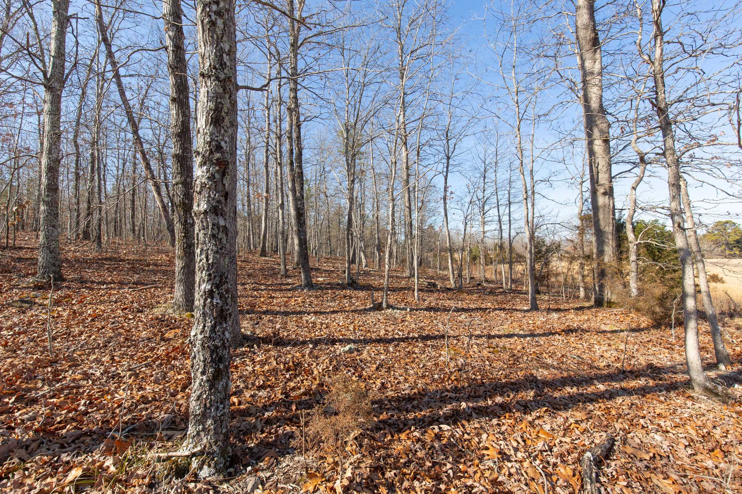 O’Connor Crossing Tract 37 photo 2