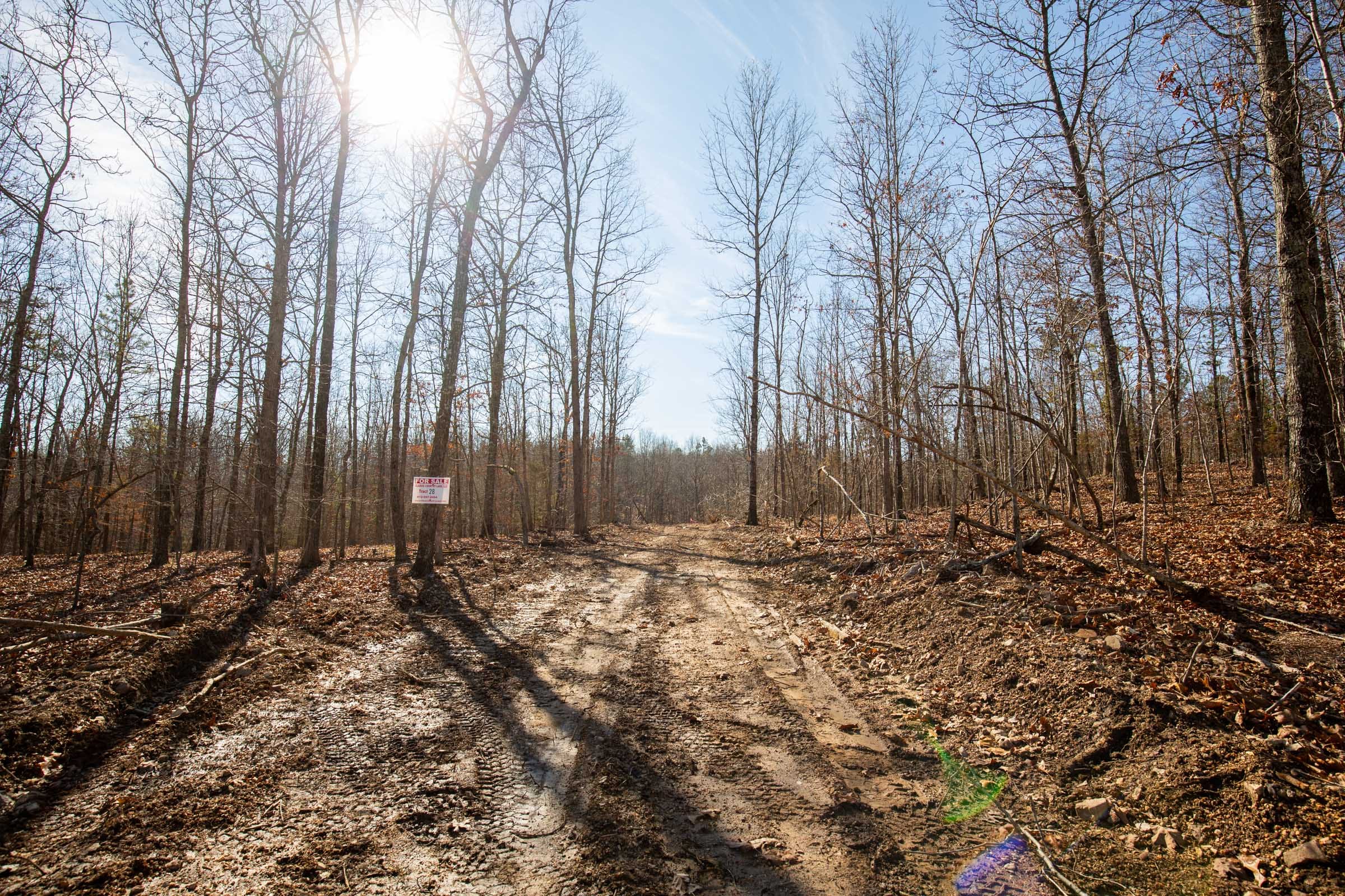 O’Connor Crossing Tract 37 photo 3