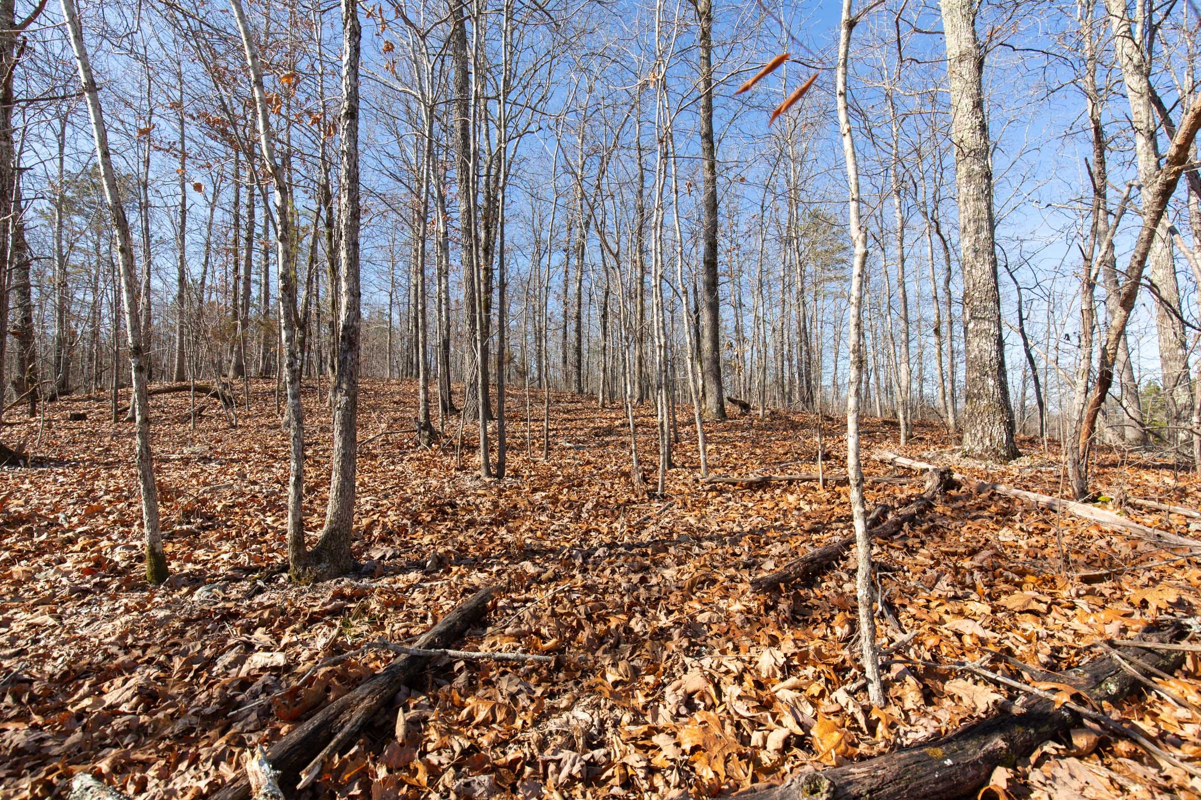 O’Connor Crossing Tract 37 photo 4