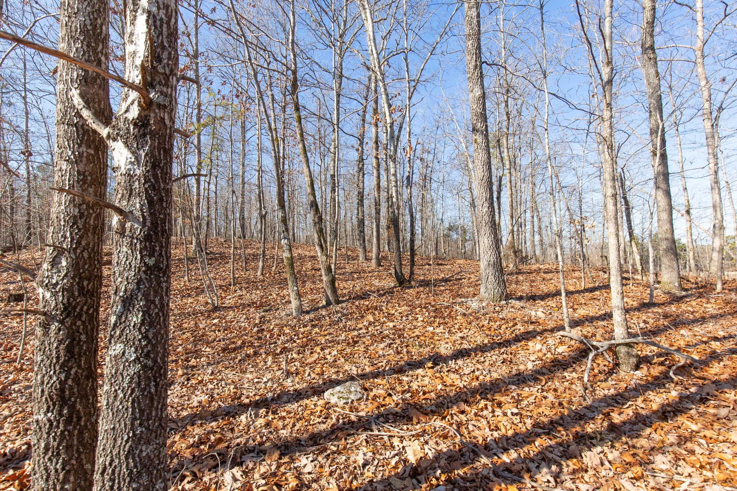 O’Connor Crossing Tract 37 photo 5