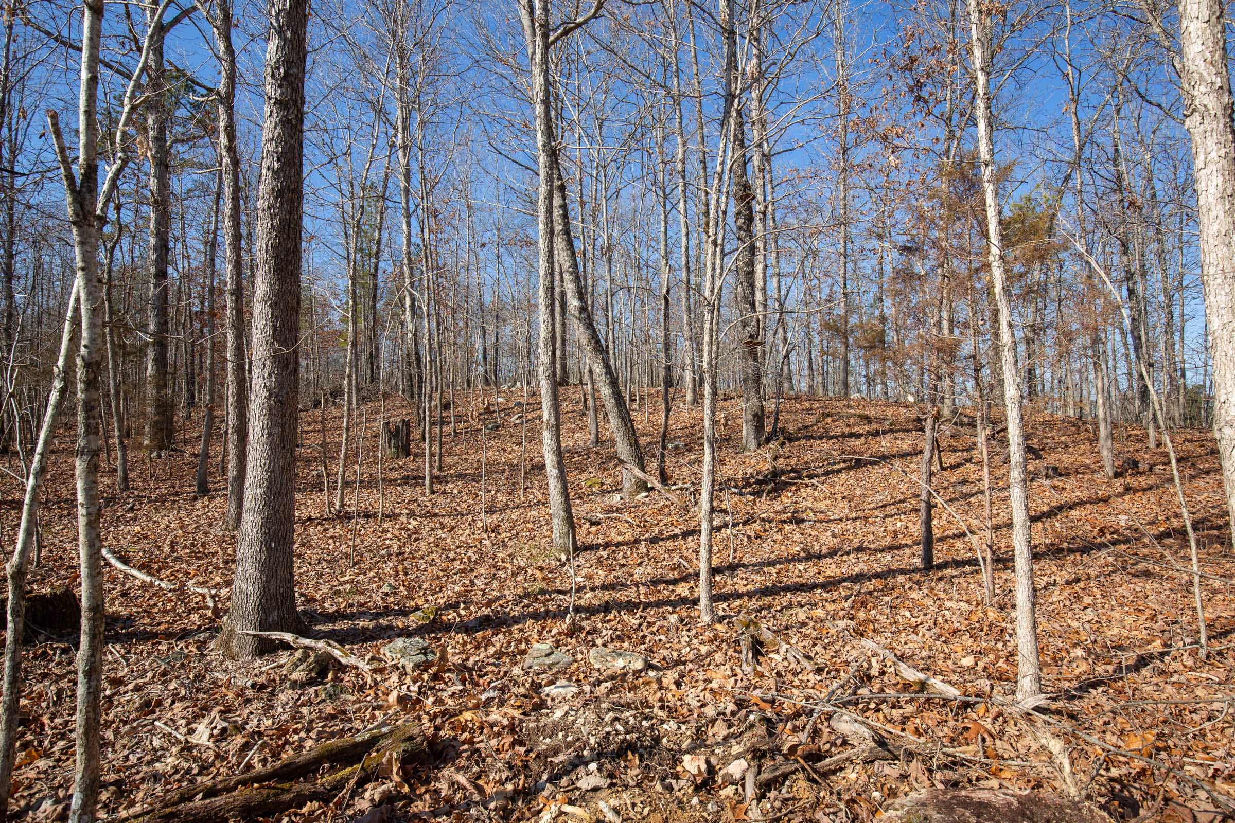 O’Connor Crossing Tract 37 photo 6