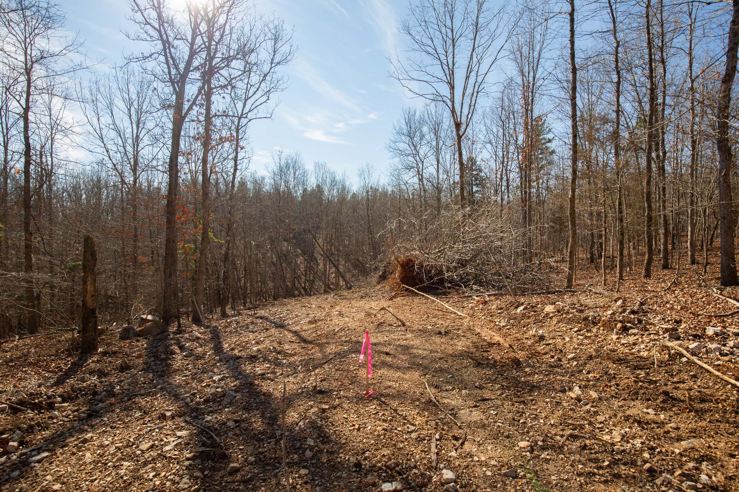 O’Connor Crossing Tract 37 photo 7