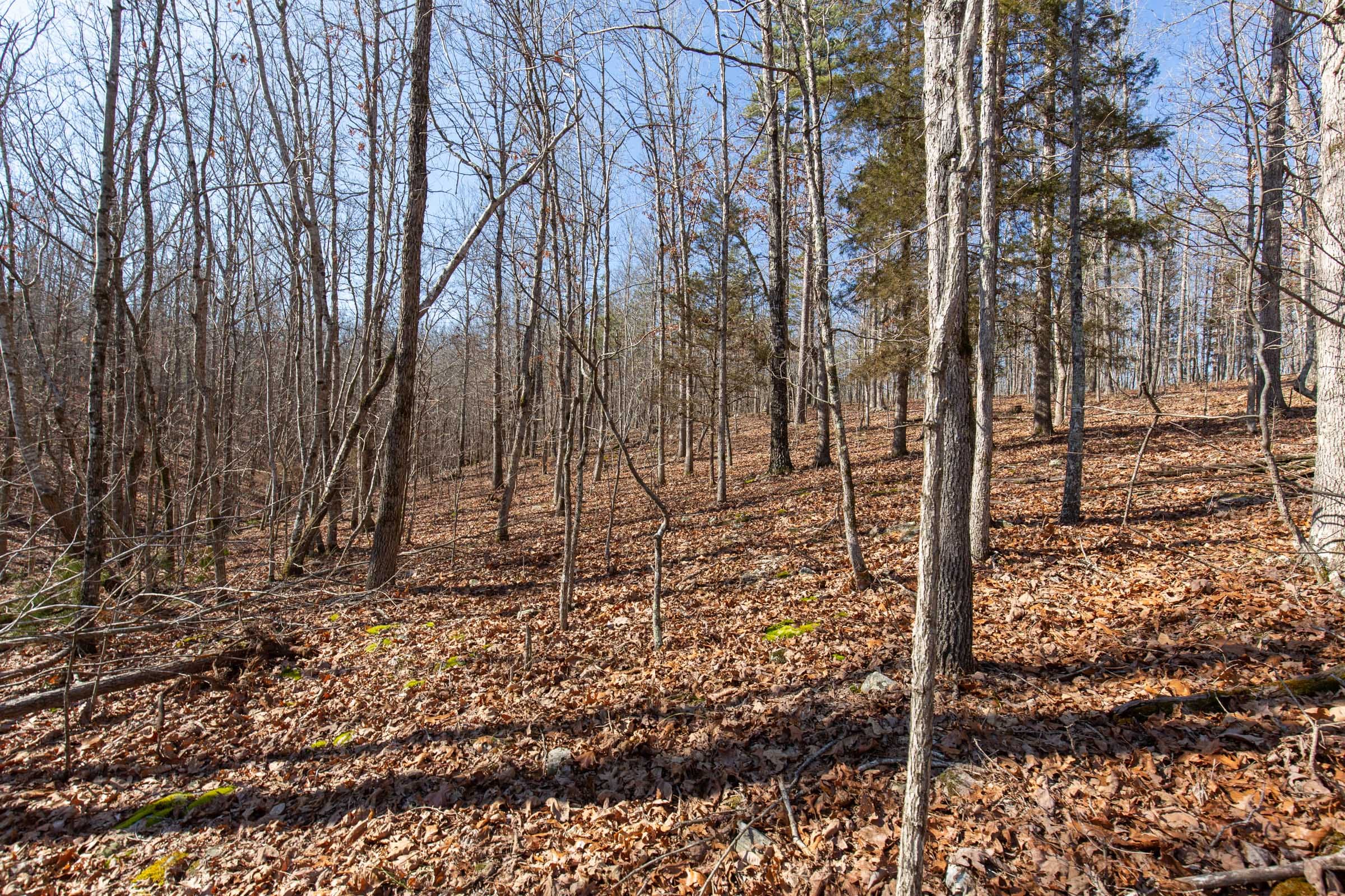 O’Connor Crossing Tract 37 photo 8