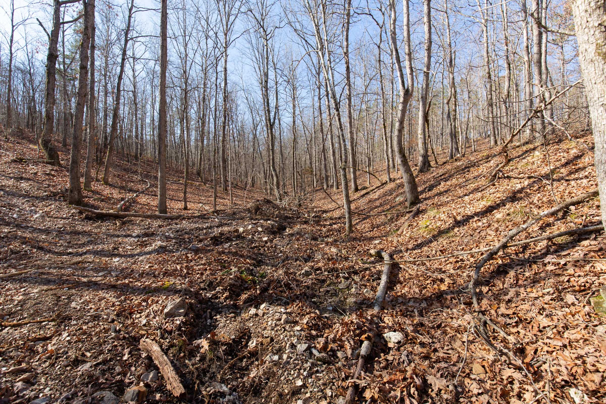 O’Connor Crossing Tract 37 photo 9