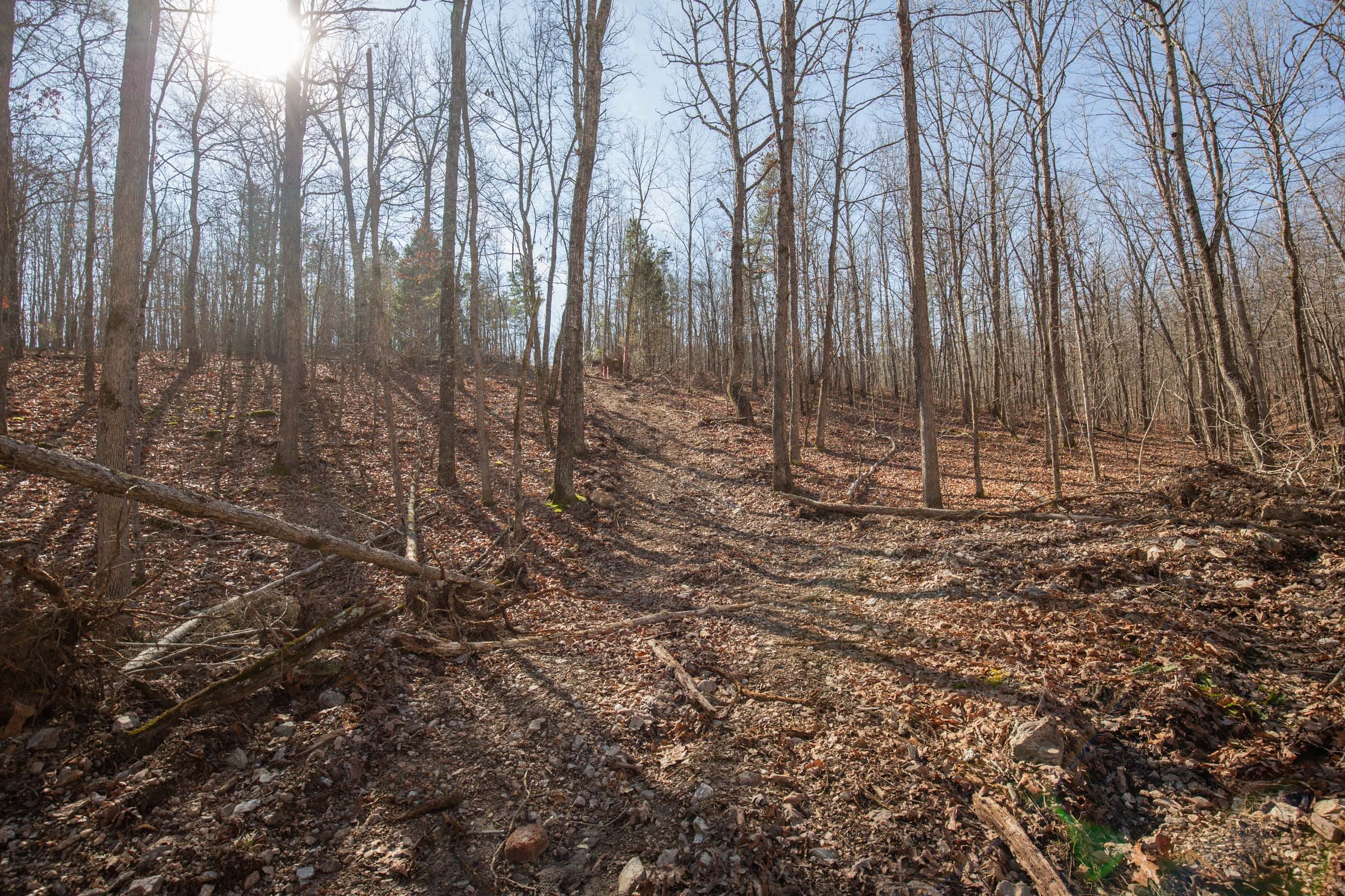 O’Connor Crossing Tract 37 photo 10