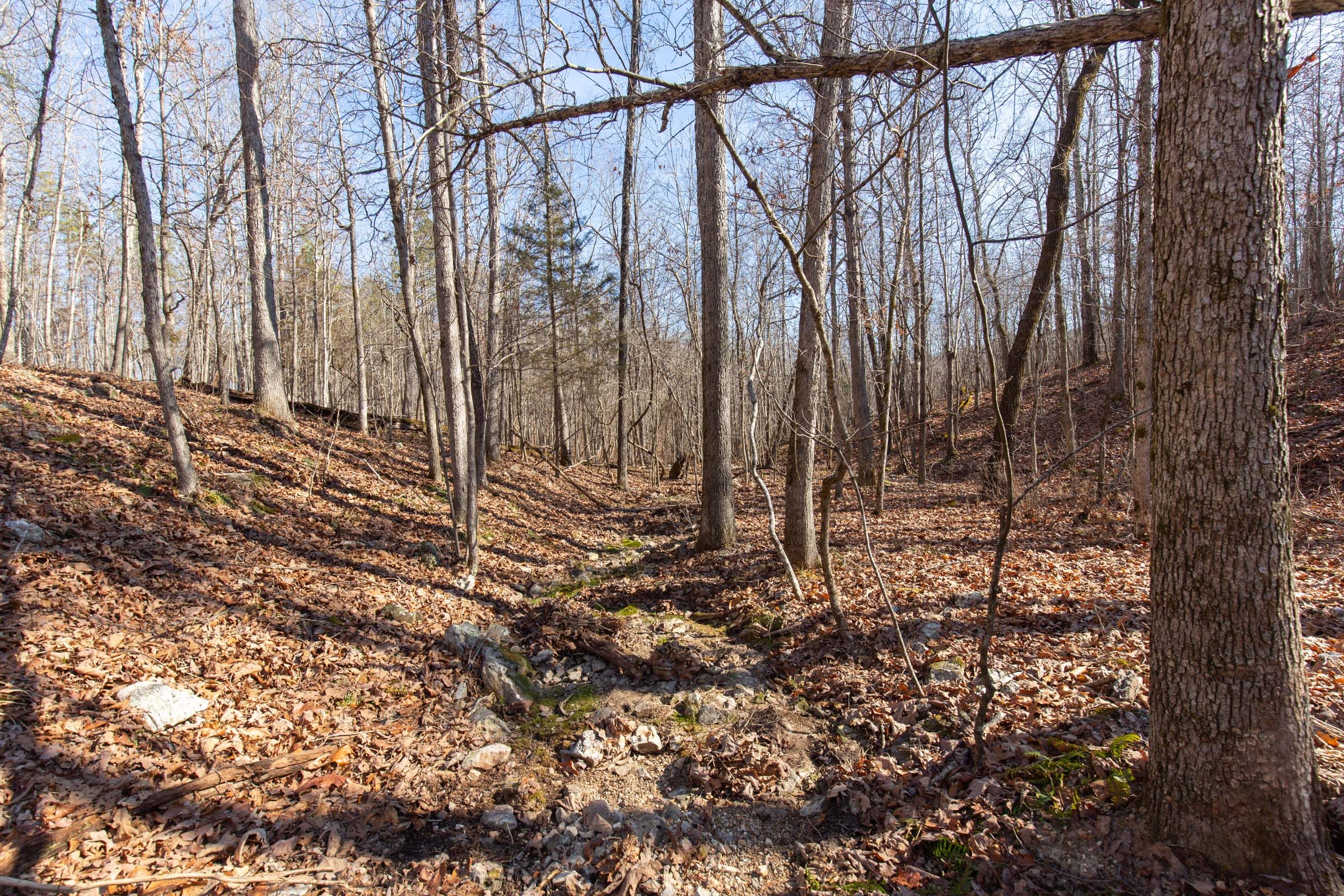 O’Connor Crossing Tract 37 photo 11