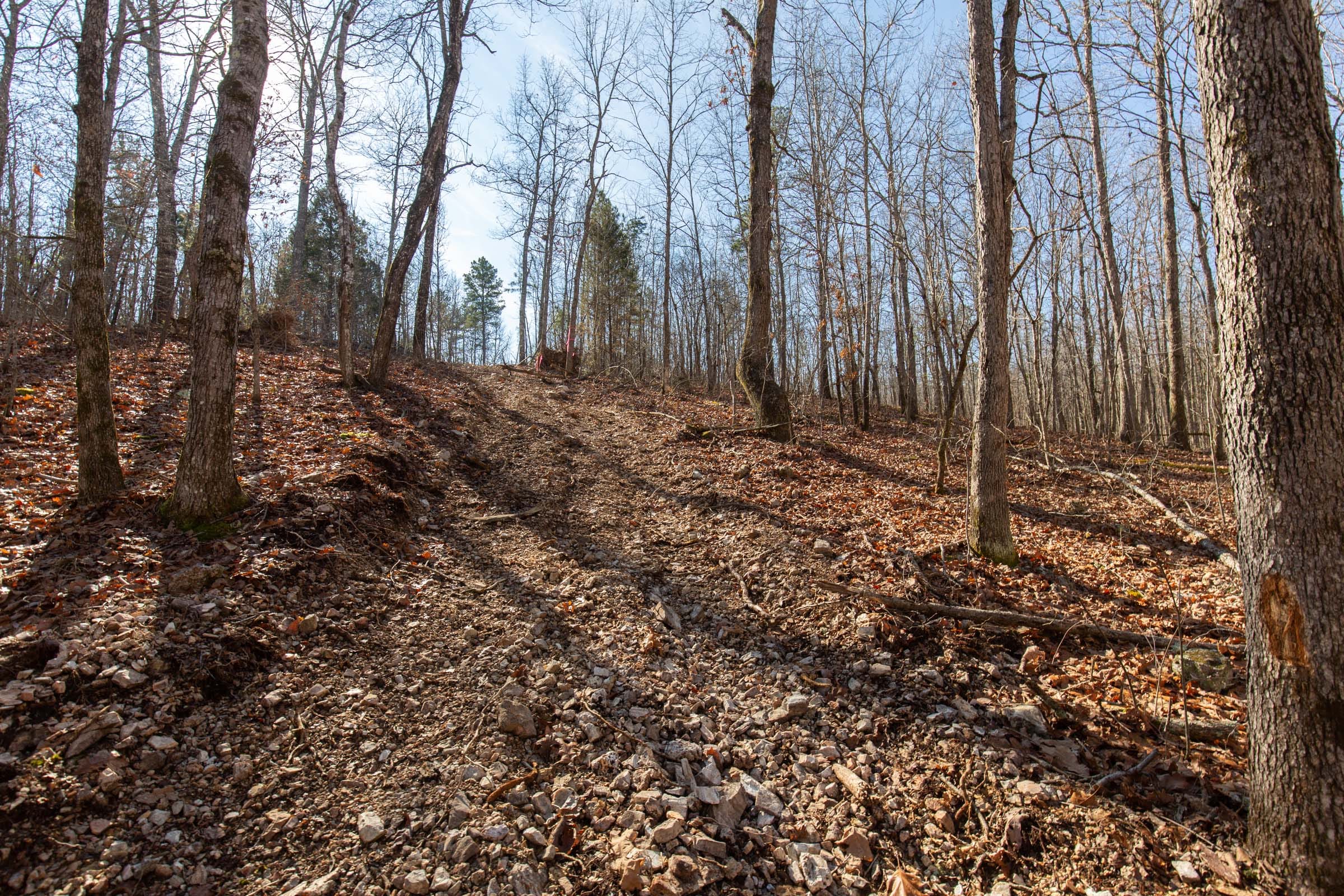 O’Connor Crossing Tract 37 photo 12
