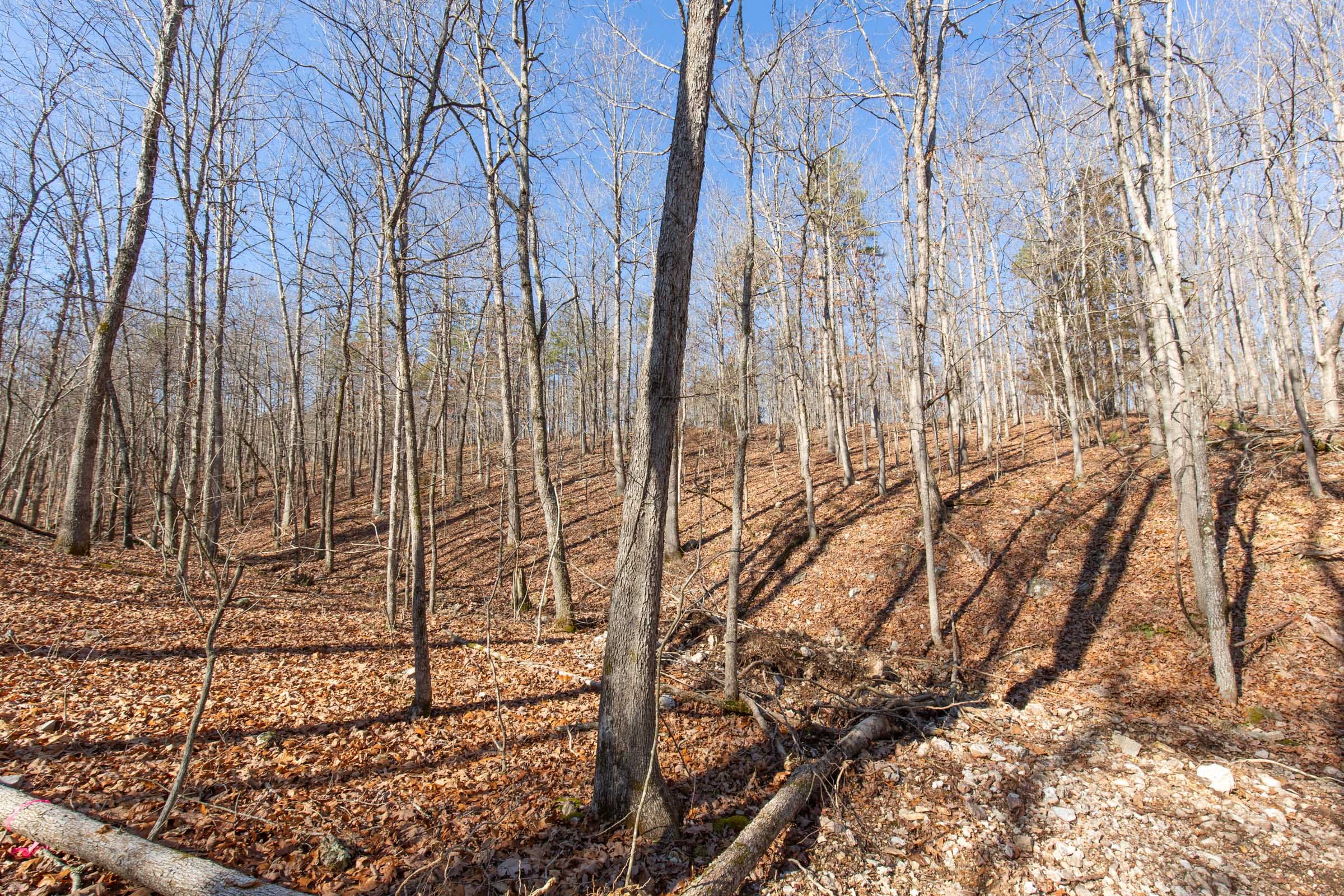 O’Connor Crossing Tract 37 photo 13