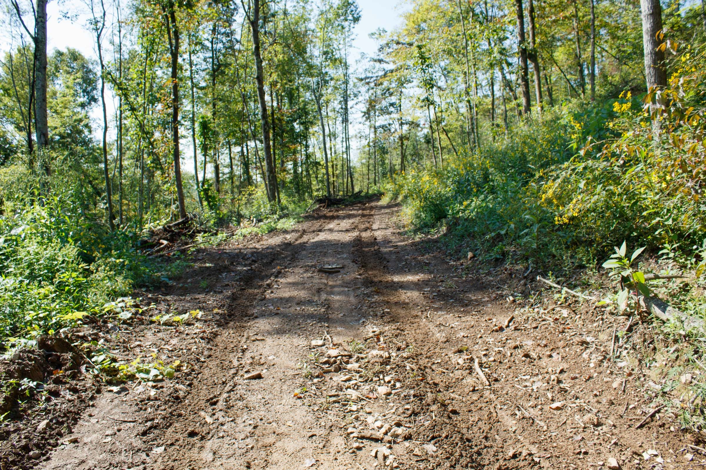 Wounded Oak Tract 20 photo 1