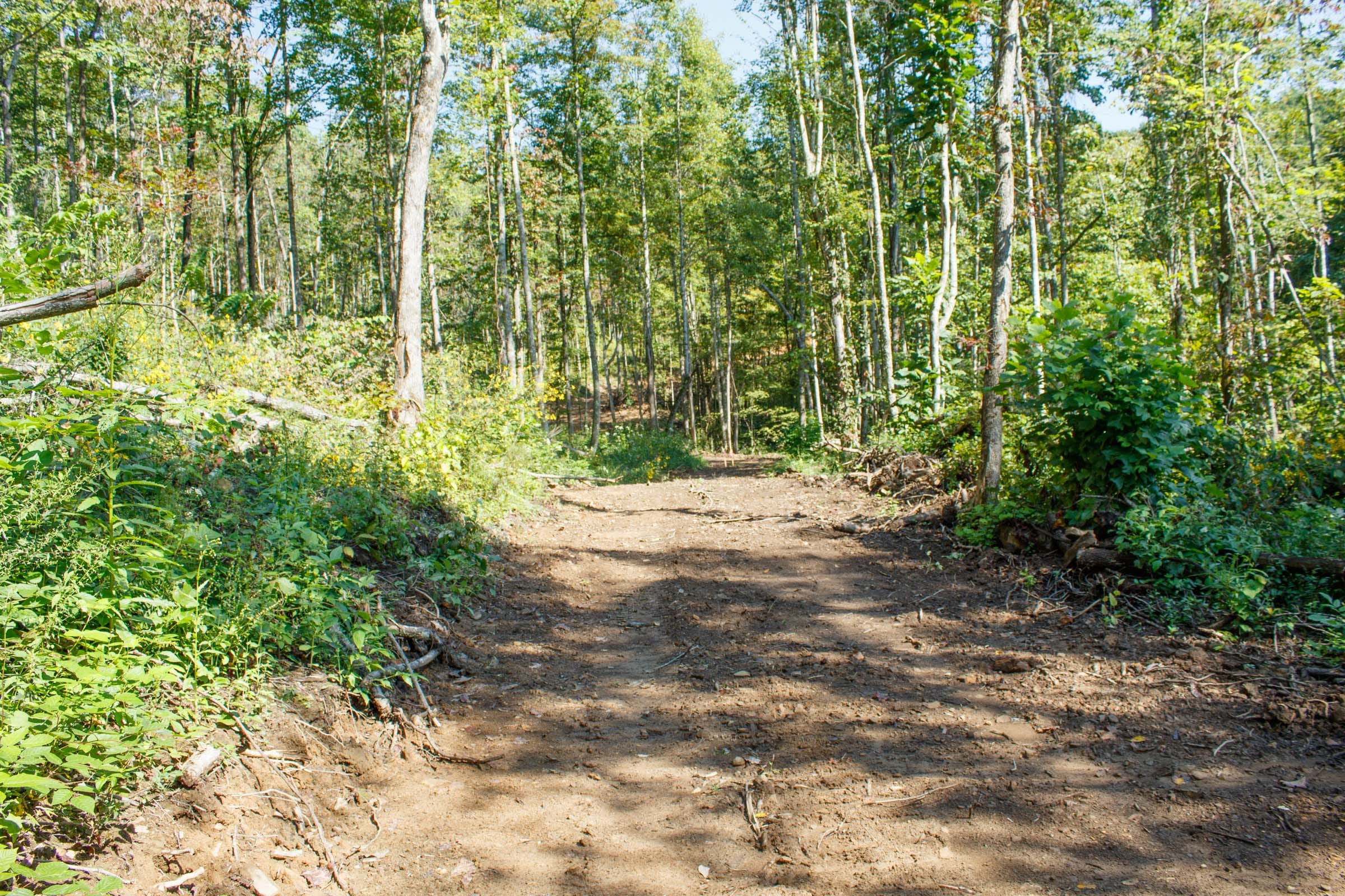 Wounded Oak Tract 20 photo 12