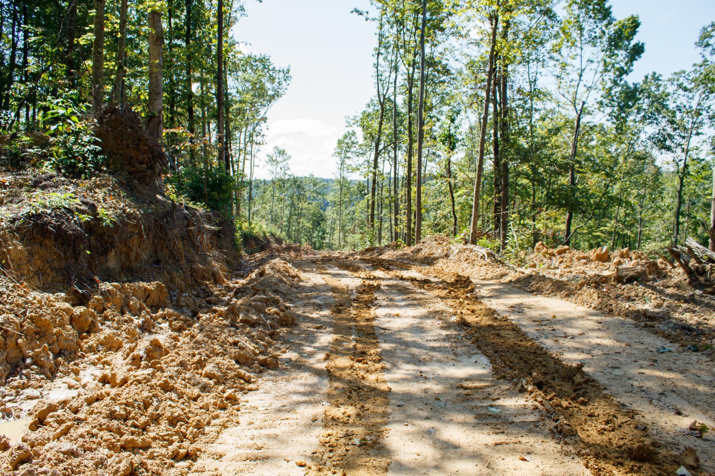 Wounded Oak Tract 20 photo 4
