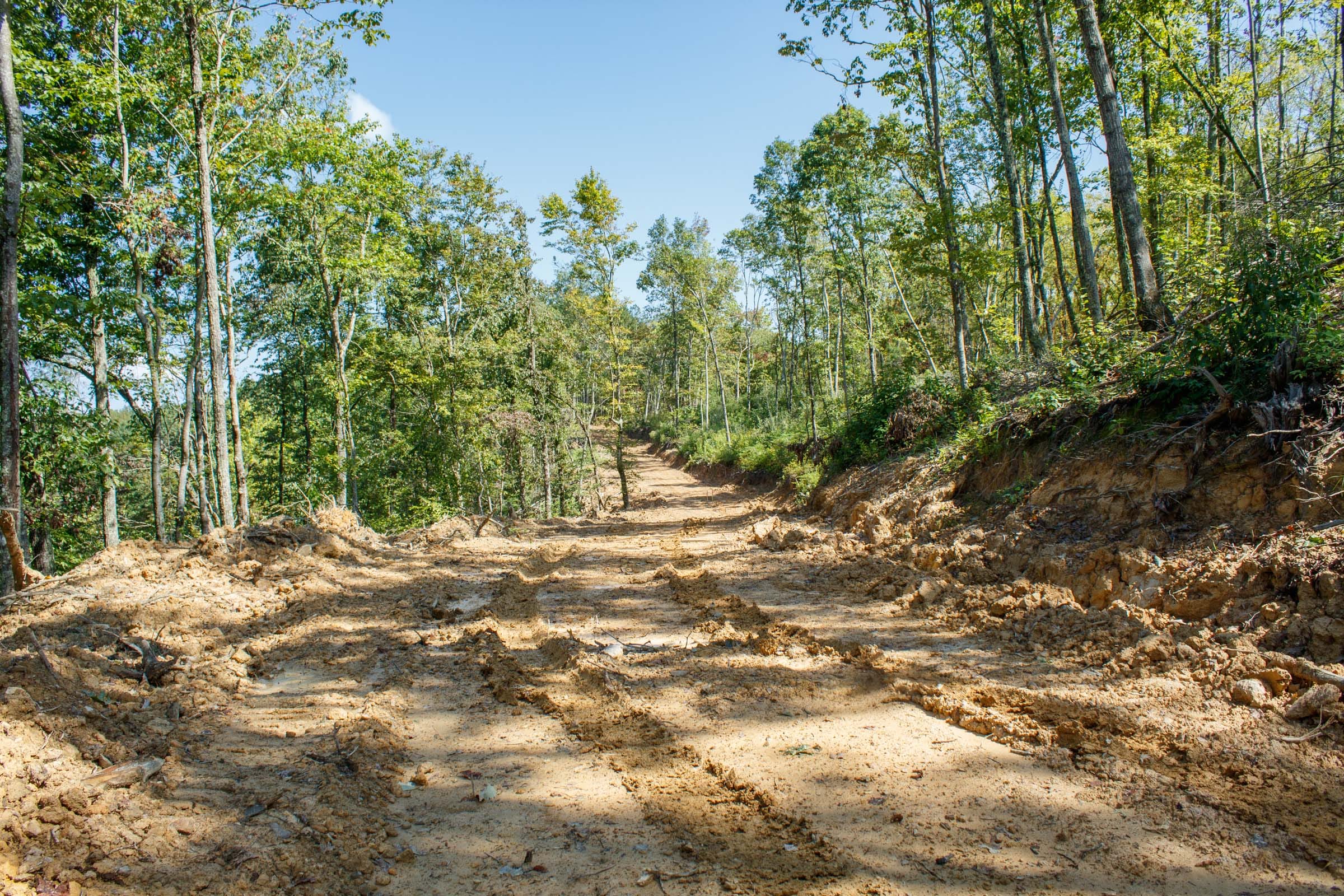 Wounded Oak Tract 20 photo 7