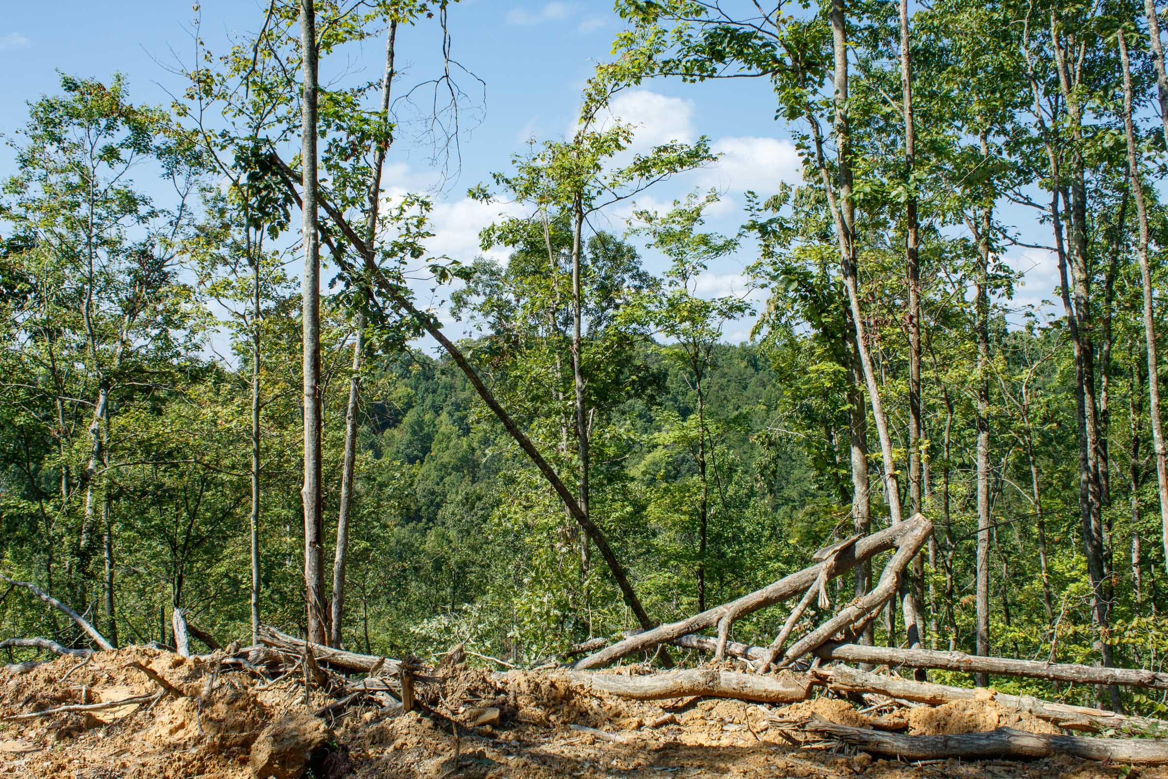 Wounded Oak Tract 20 photo 8