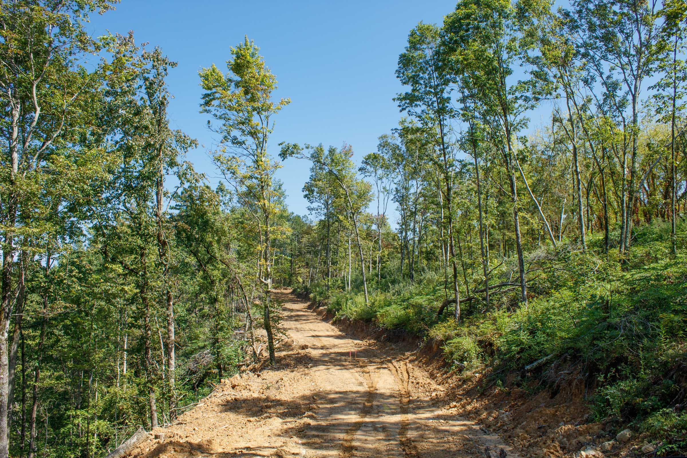 Wounded Oak Tract 20 photo 17