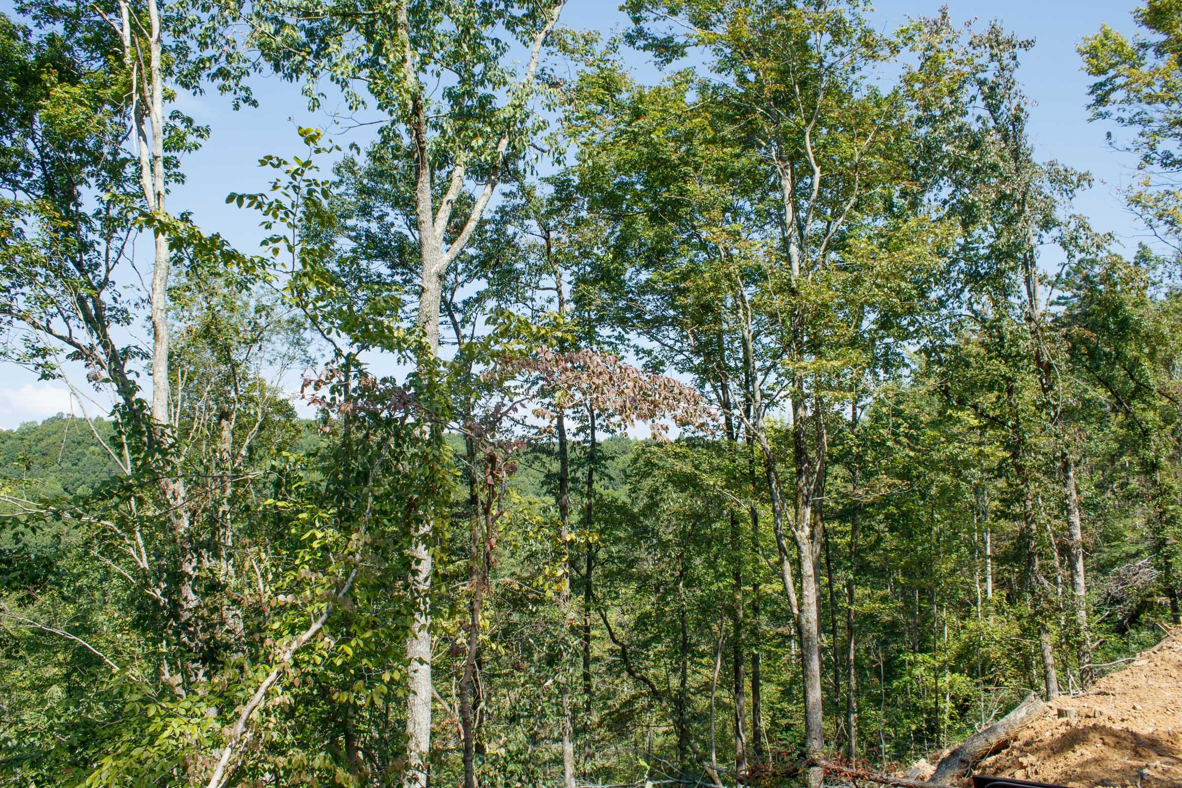 Wounded Oak Tract 20 photo 18