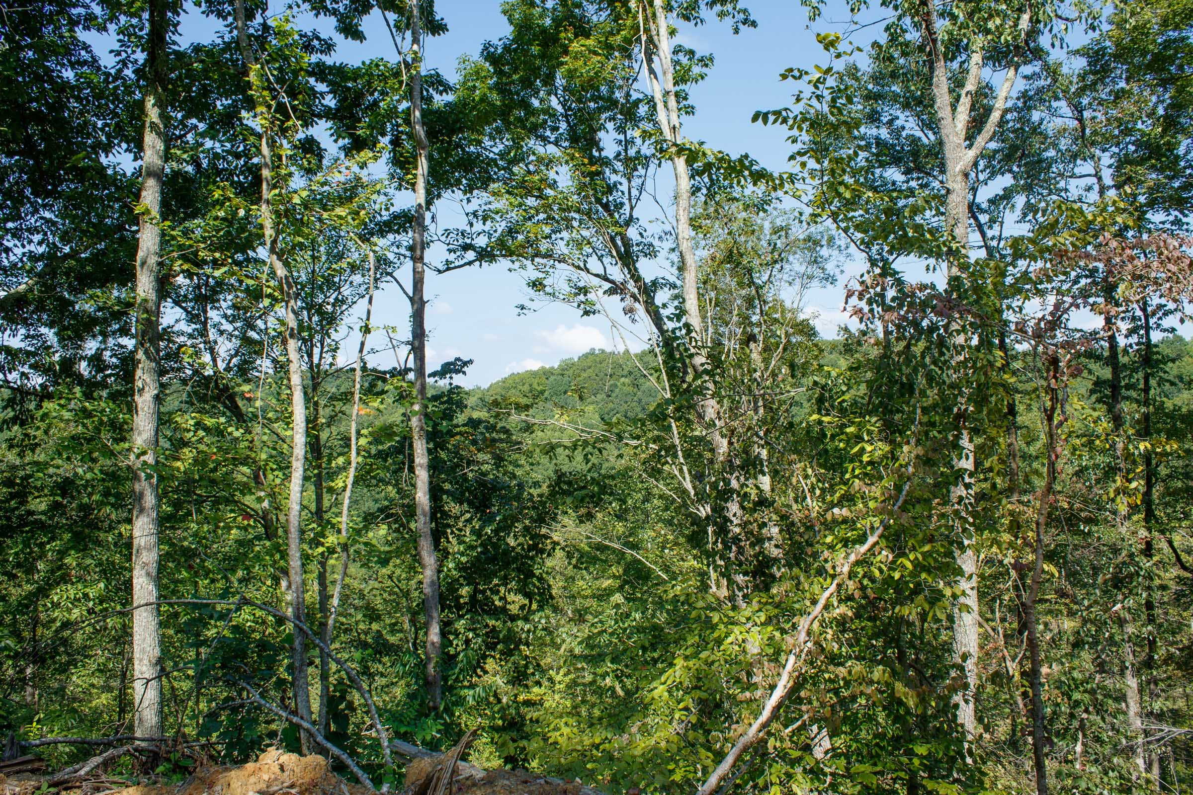 Wounded Oak Tract 20 photo 19