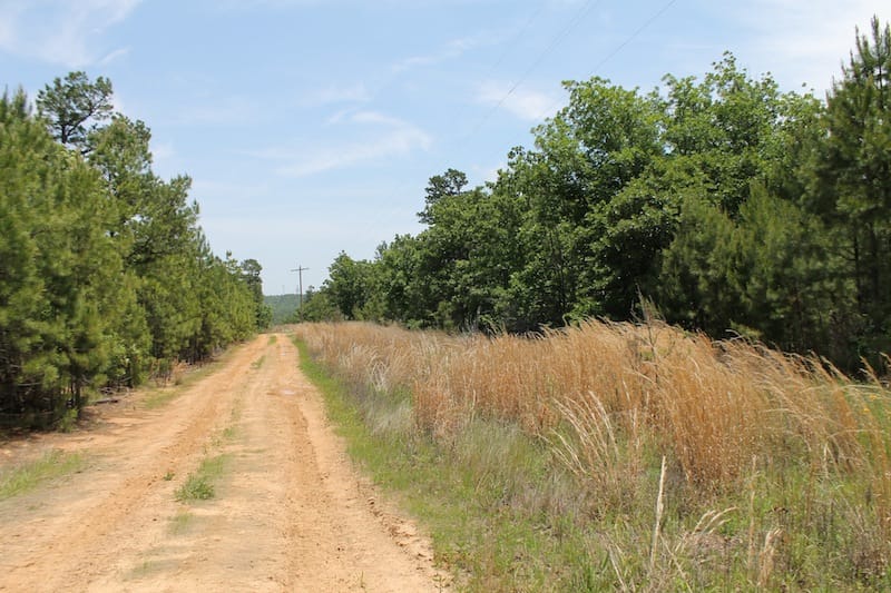 Indian Ridge – Phase II Tract 31 photo 1