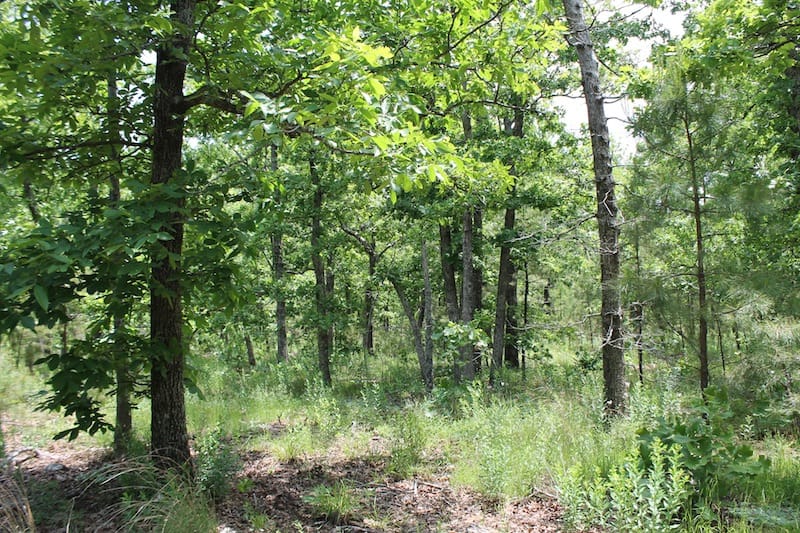 Indian Ridge – Phase II Tract 31 photo 3