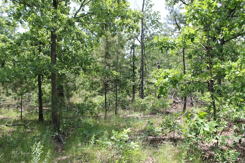 Indian Ridge – Phase II Tract 31 photo 4