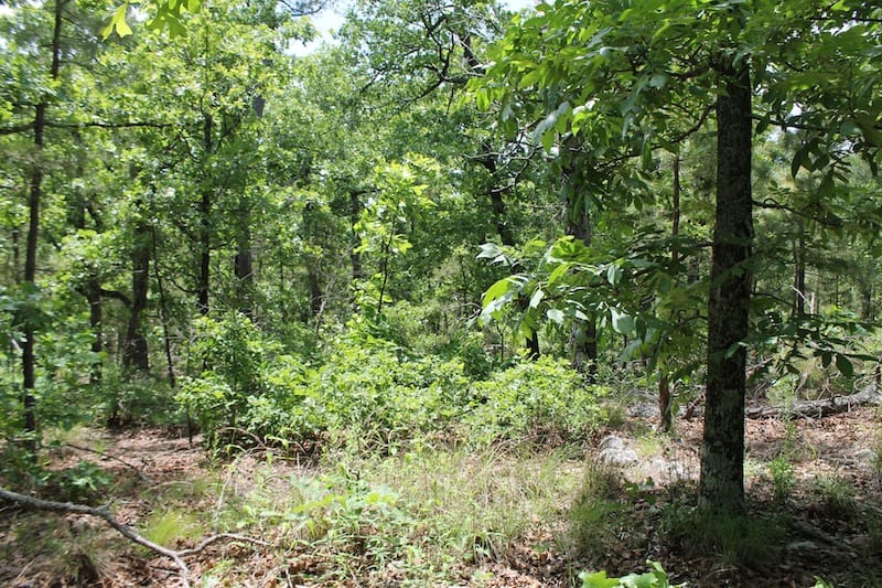 Indian Ridge – Phase II Tract 31 photo 5