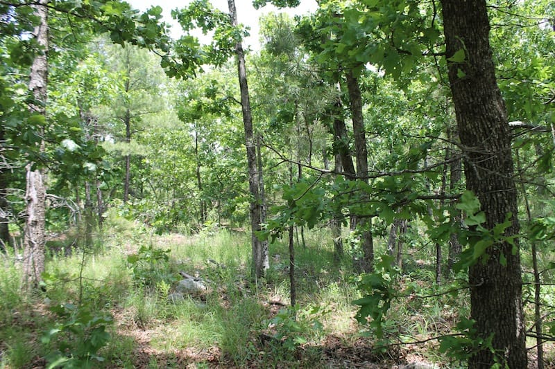 Indian Ridge – Phase II Tract 31 photo 6