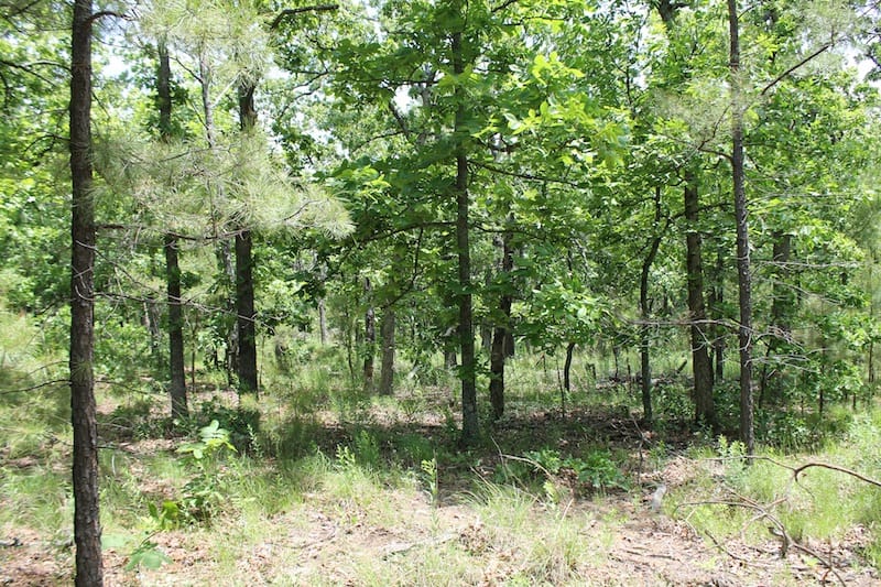 Indian Ridge – Phase II Tract 31 photo 7