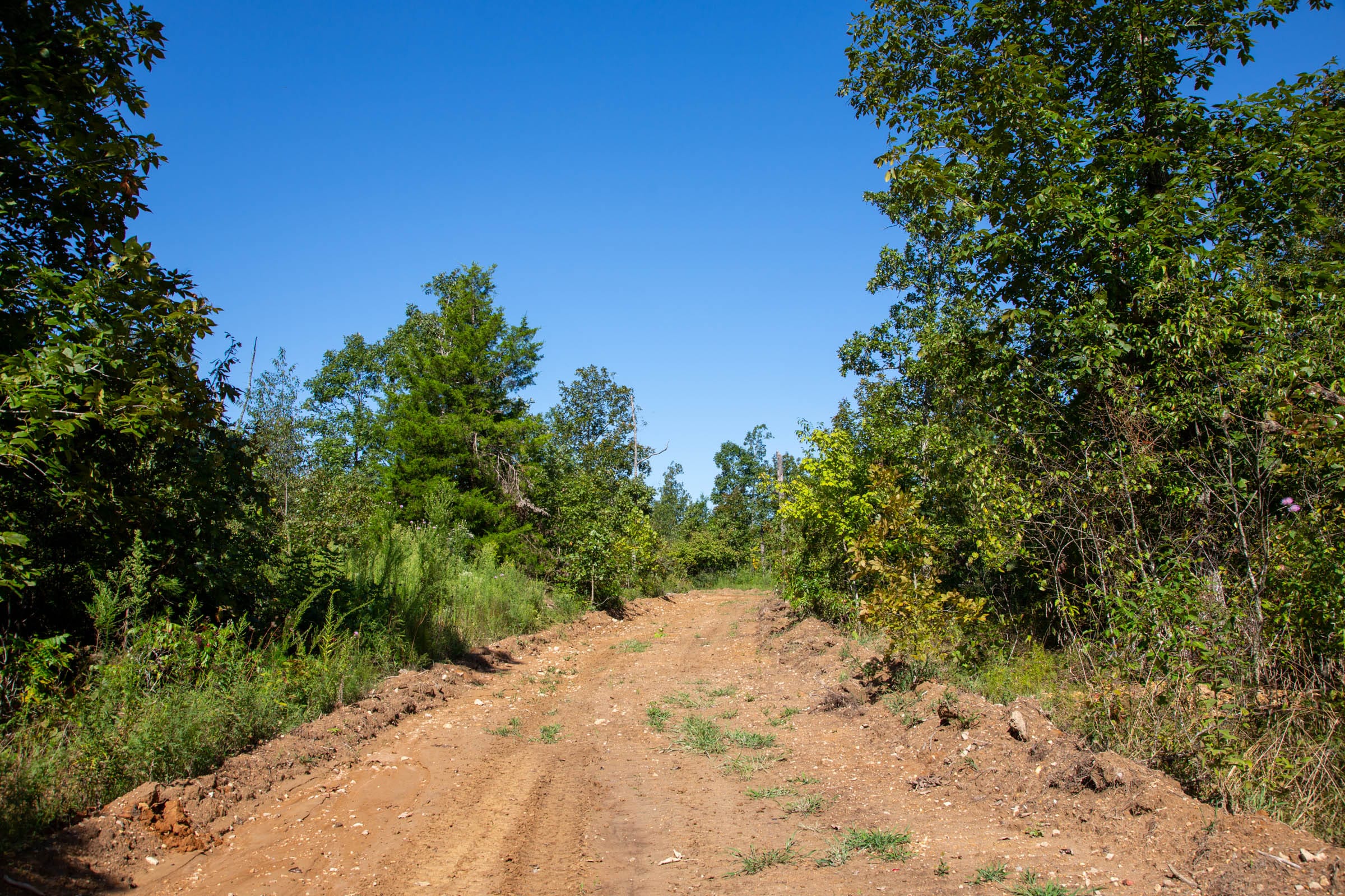 Borgmann’s Hollow Phase II Tract 66 photo 1
